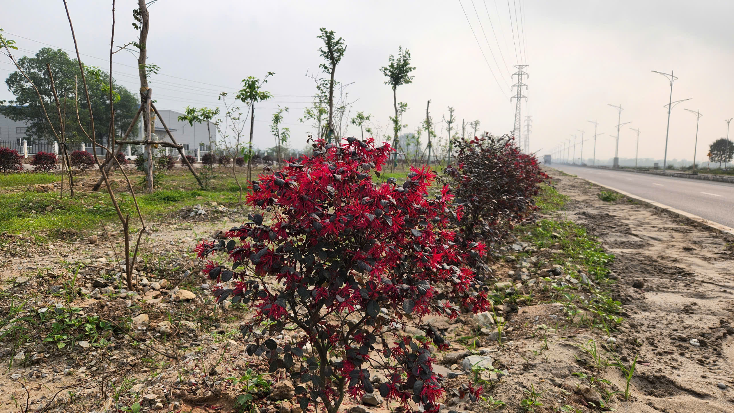 Hết vướng mặt bằng, đường h&agrave;nh lang Đ&ocirc;ng T&acirc;y 3.700 tỷ ở H&agrave; Nam băng về đ&iacute;ch- Ảnh 3.