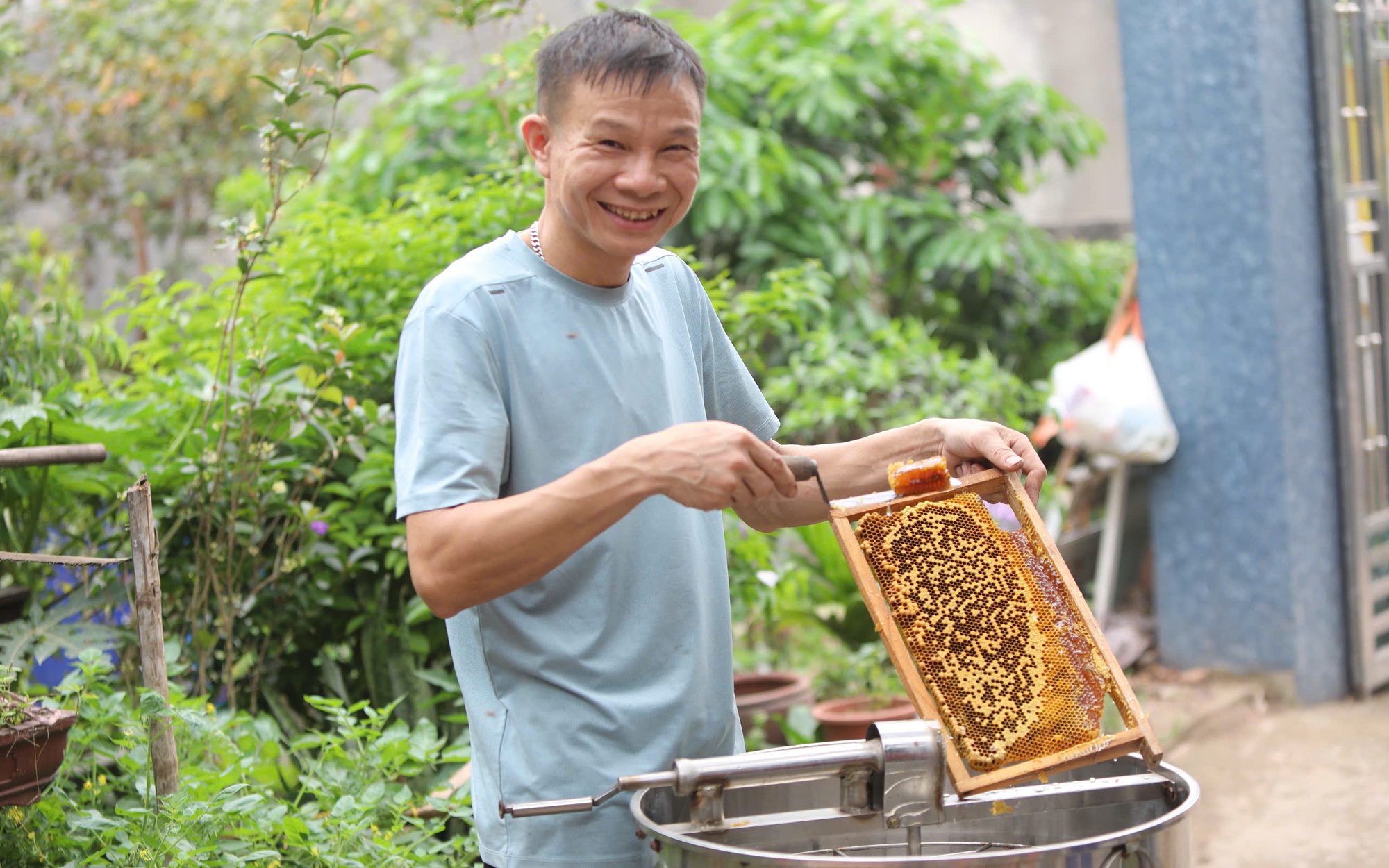 Cận cảnh m&ugrave;a mật ngọt dưới t&aacute;n vải thiều ở Bắc Giang