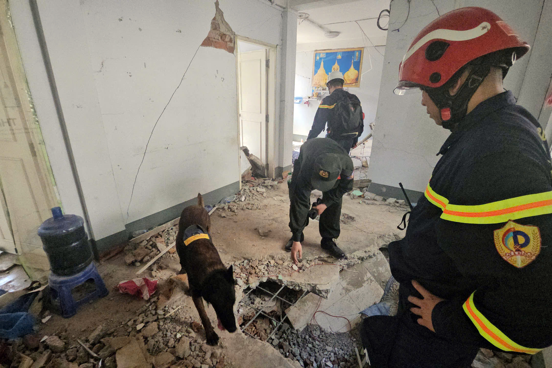 Cứu hộ Việt Nam sử dụng radar qu&eacute;t xuy&ecirc;n tường t&igrave;m nạn nh&acirc;n động đất ở Myanmar- Ảnh 1.