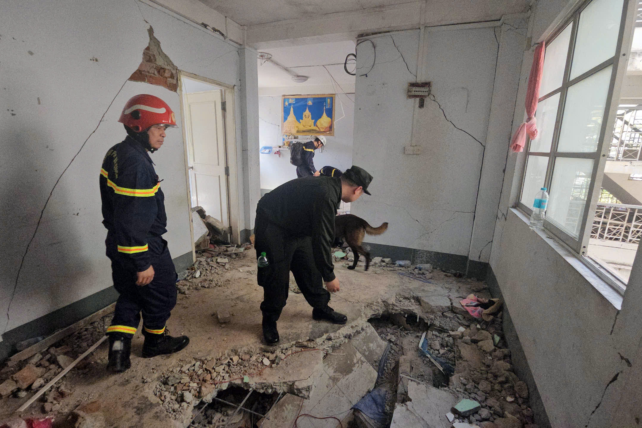 Cứu hộ Việt Nam sử dụng radar qu&eacute;t xuy&ecirc;n tường t&igrave;m nạn nh&acirc;n động đất ở Myanmar- Ảnh 2.