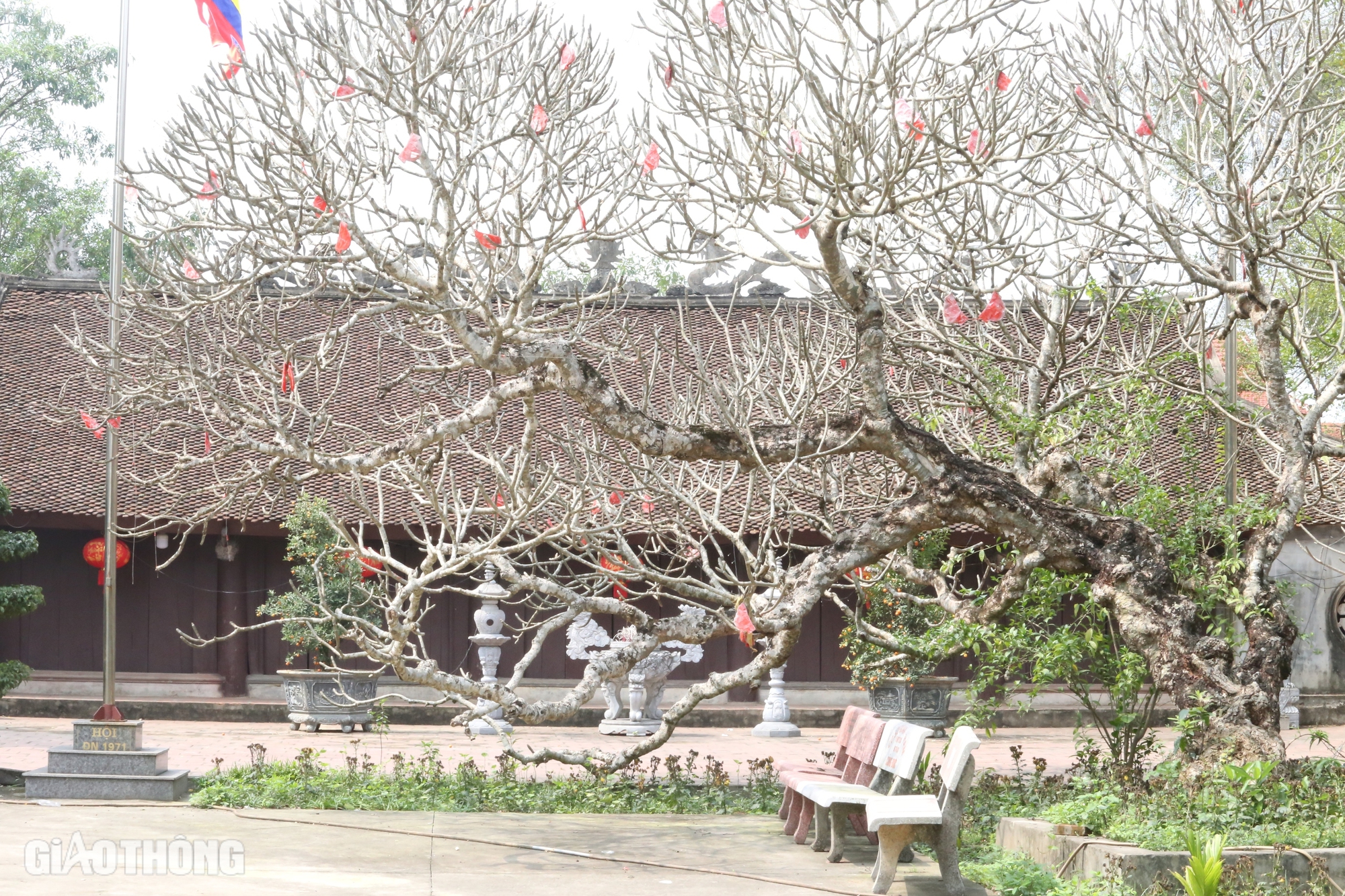 Báu vật trong ngôi chùa cổ có nhiều bia đá nhất ở Thái Nguyên- Ảnh 17. Báu vật trong ngôi chùa cổ có nhiều bia đá nhất ở Thái Nguyên- Ảnh 17.