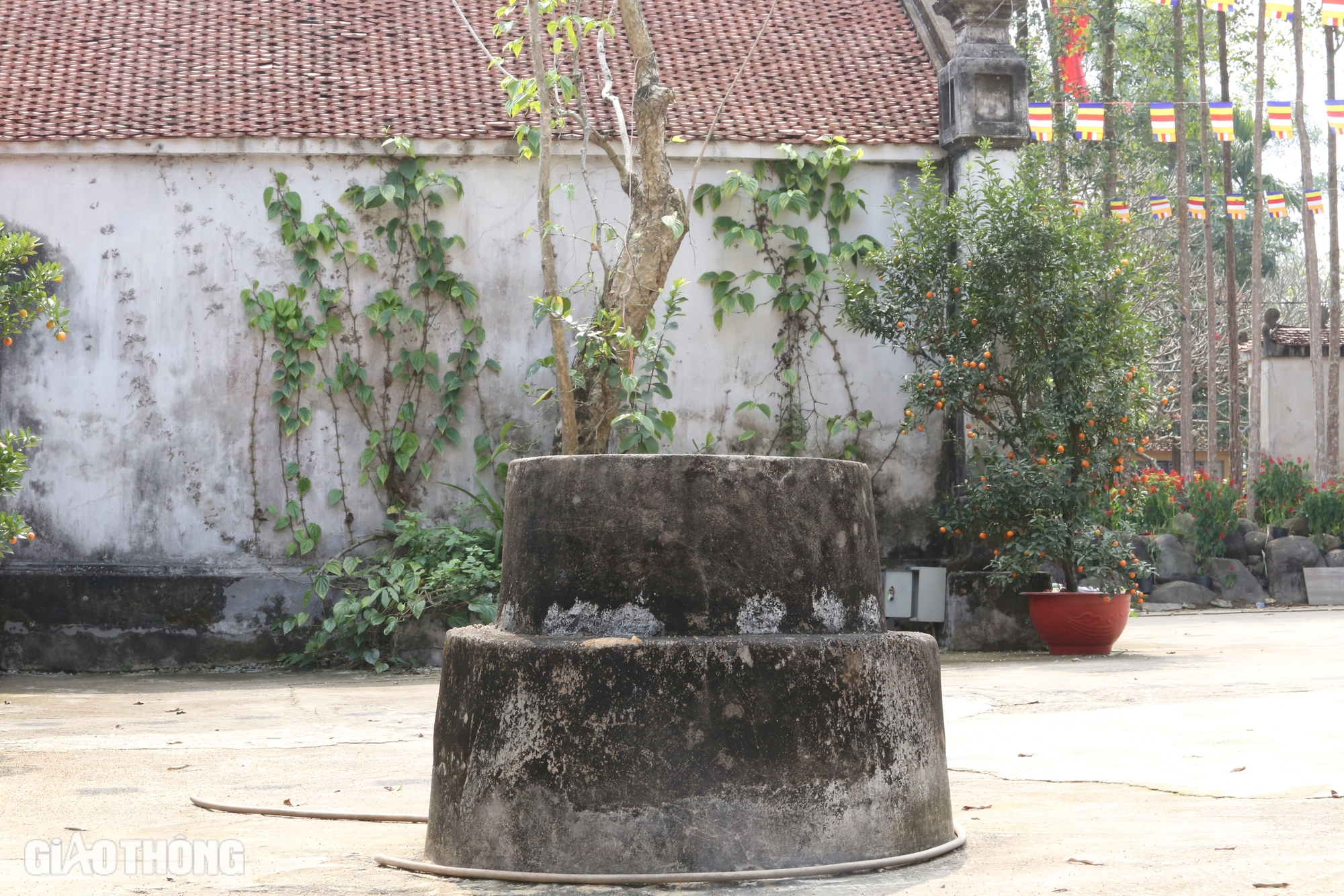 Báu vật trong ngôi chùa cổ có nhiều bia đá nhất ở Thái Nguyên- Ảnh 16. Báu vật trong ngôi chùa cổ có nhiều bia đá nhất ở Thái Nguyên- Ảnh 16.