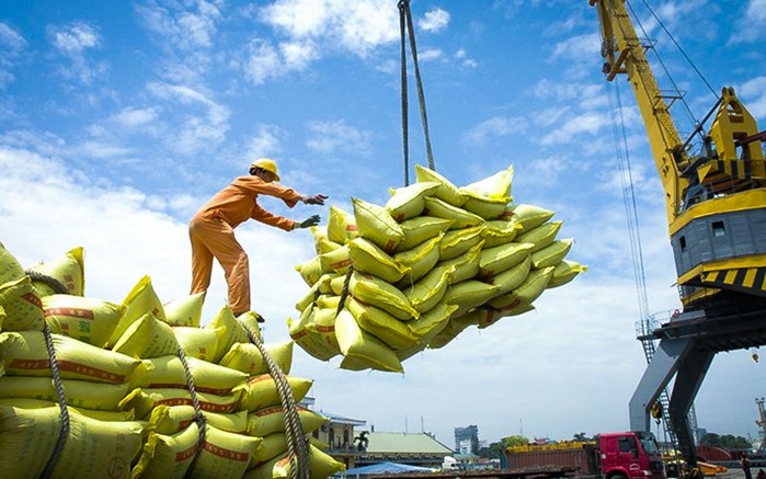 Xuất khẩu gạo tăng nhẹ, đối mặt áp lực giá và chi phí logistics- Ảnh 5. Giá lúa gạo lao dốc, Thủ tướng chỉ đạo lập đoàn kiểm tra liên ngành