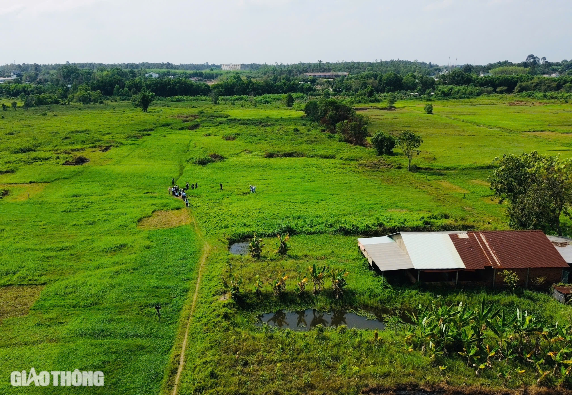Ho&agrave;n th&agrave;nh cắm 3.029 cọc mốc GPMB cao tốc TP.HCM - Mộc B&agrave;i trong th&aacute;ng 3/2025- Ảnh 2.
