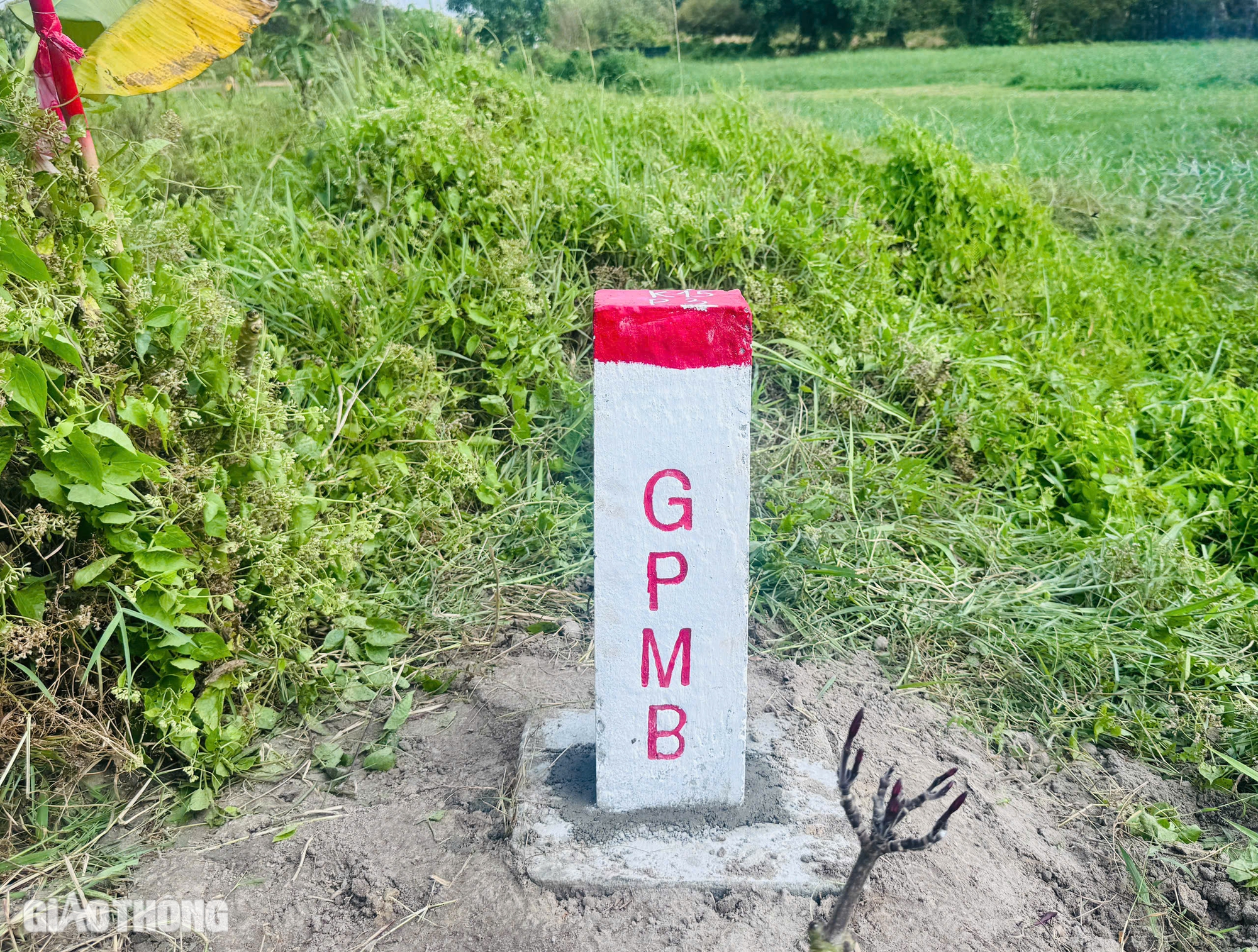 Ho&agrave;n th&agrave;nh cắm 3.029 cọc mốc GPMB cao tốc TP.HCM - Mộc B&agrave;i trong th&aacute;ng 3/2025- Ảnh 6.
