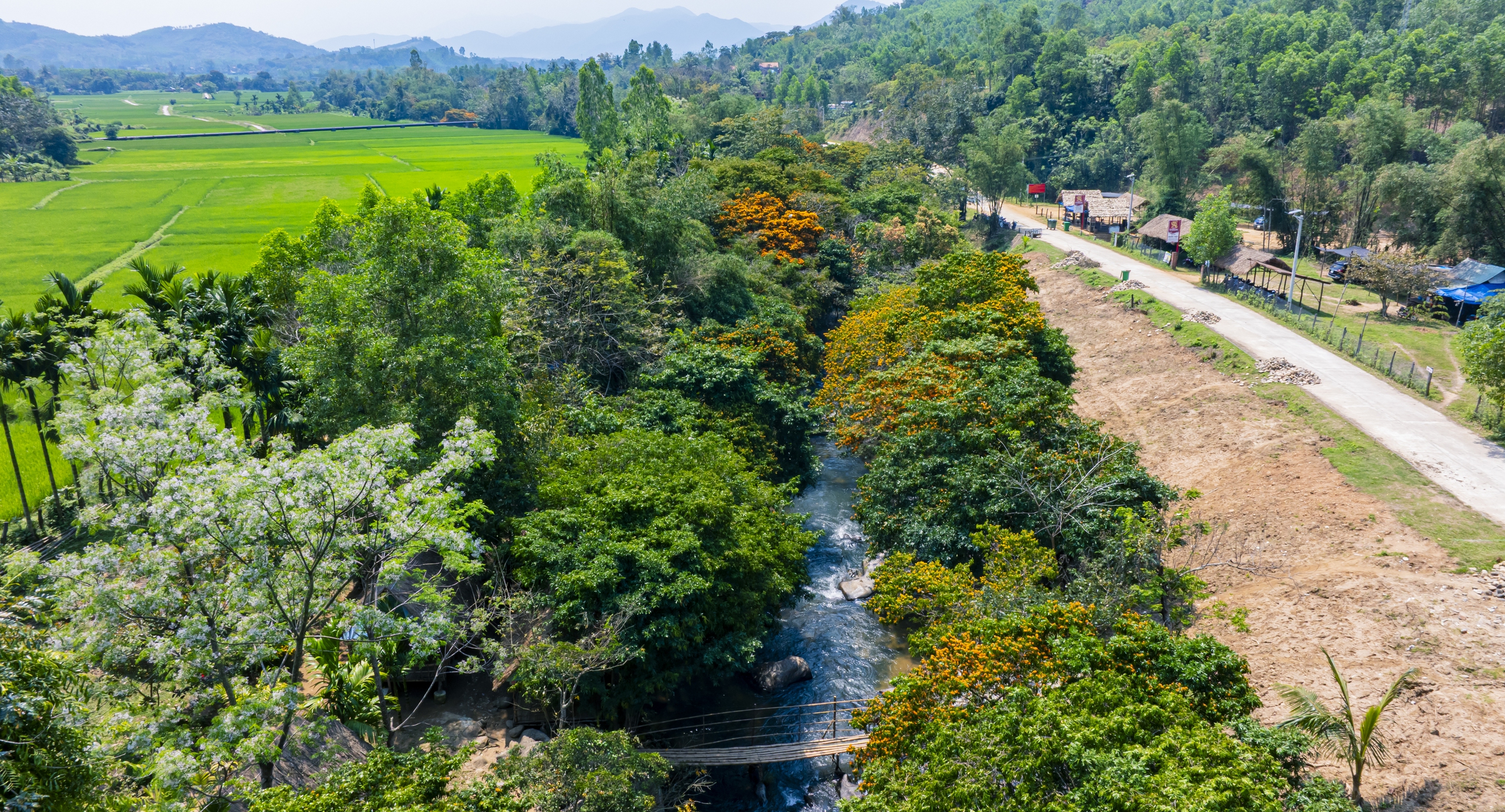 Hoa trang rừng rực rỡ, l&agrave;m xi&ecirc;u l&ograve;ng người tại l&agrave;ng miền n&uacute;i B&igrave;nh Định- Ảnh 7.