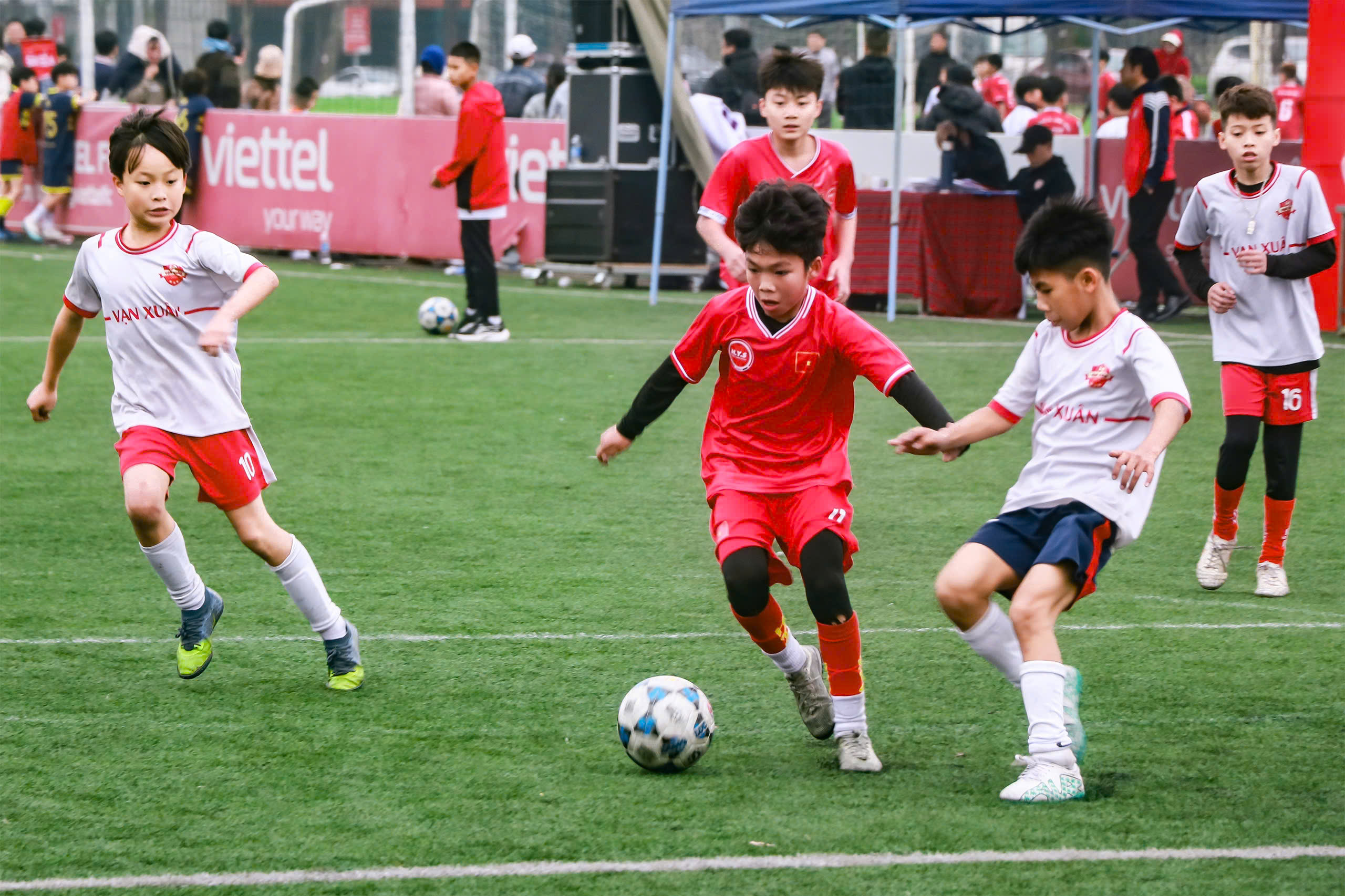 Nh&agrave; cựu v&ocirc; địch V-League t&igrave;m 20 vi&ecirc;n ngọc th&ocirc; theo c&aacute;ch đặc biệt- Ảnh 1.