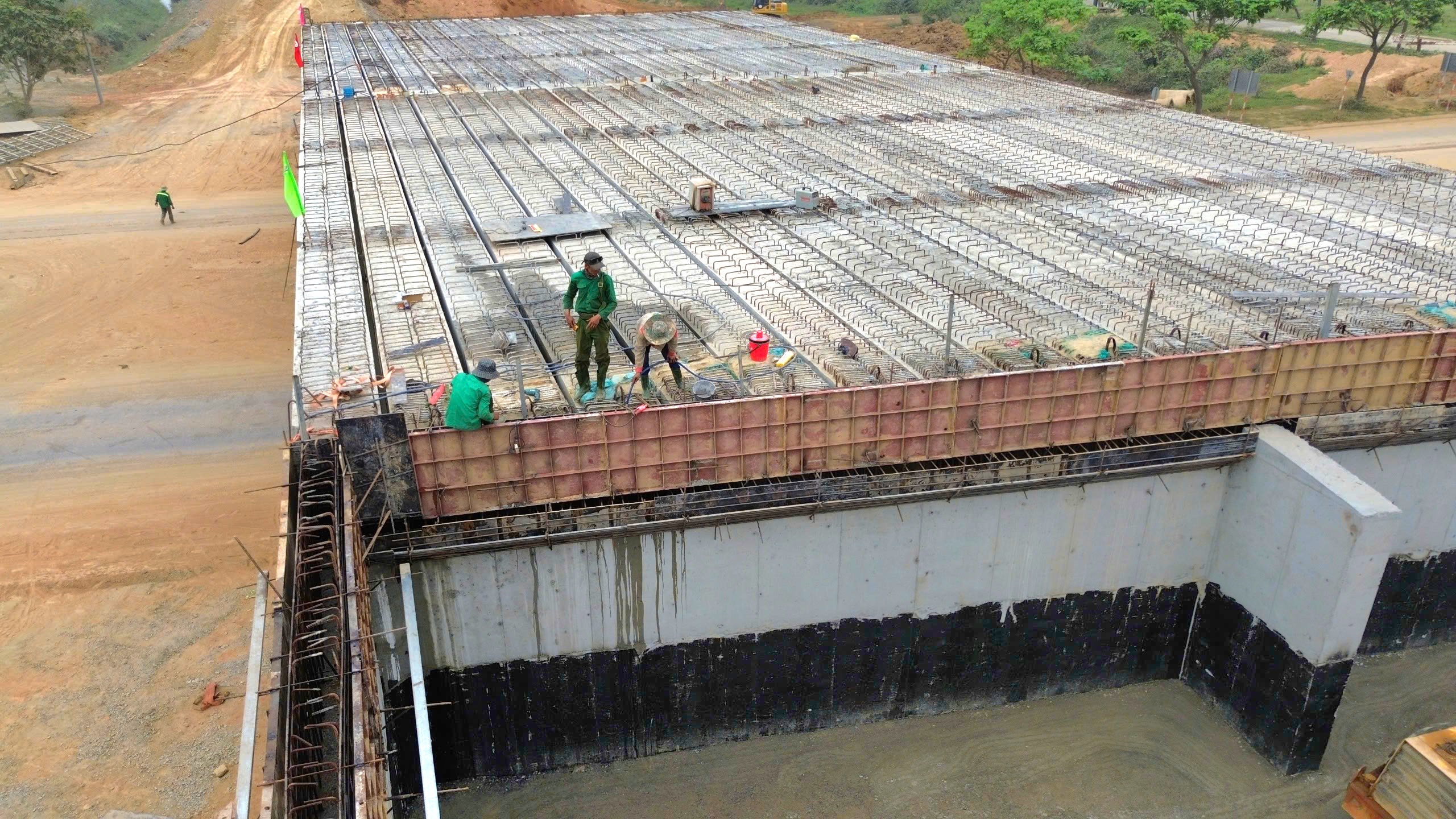 Cận cảnh những c&acirc;y cầu 