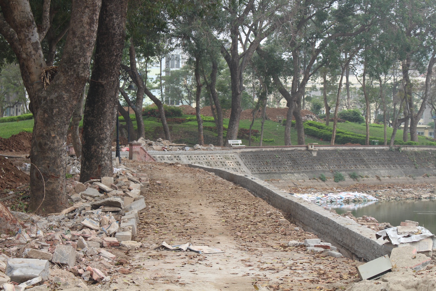 Hà Nội đồng loạt hồi sinh các công viên, mở rộng không gian xanh- Ảnh 6. Hà Nội đồng loạt hồi sinh các công viên, mở rộng không gian xanh- Ảnh 6.