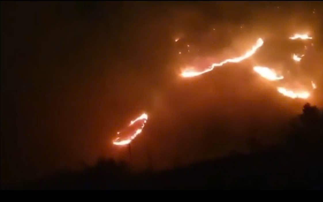 Quảng Ninh: Hỏa hoạn thi&ecirc;u rụi nhiều diện t&iacute;ch rừng trong đ&ecirc;m