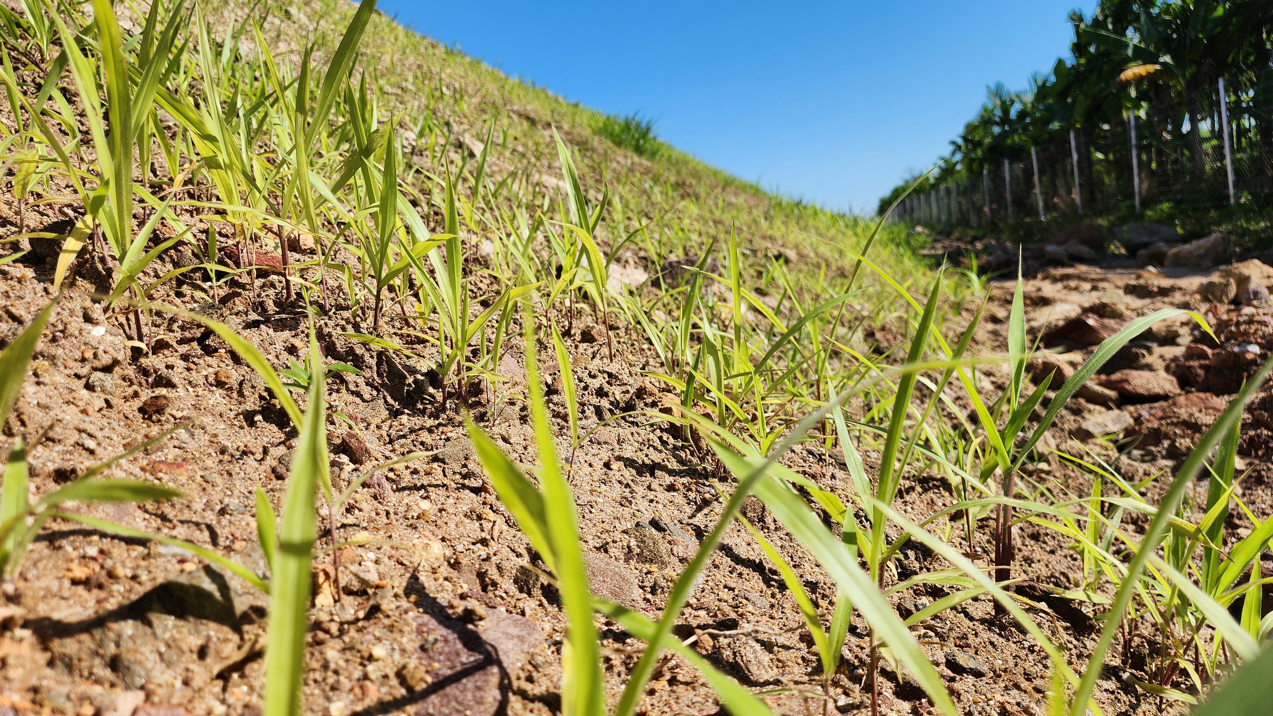 Gấp r&uacute;t ho&agrave;n thiện hạng mục an to&agrave;n giao th&ocirc;ng cao tốc Quảng Ng&atilde;i - Ho&agrave;i Nhơn- Ảnh 8.