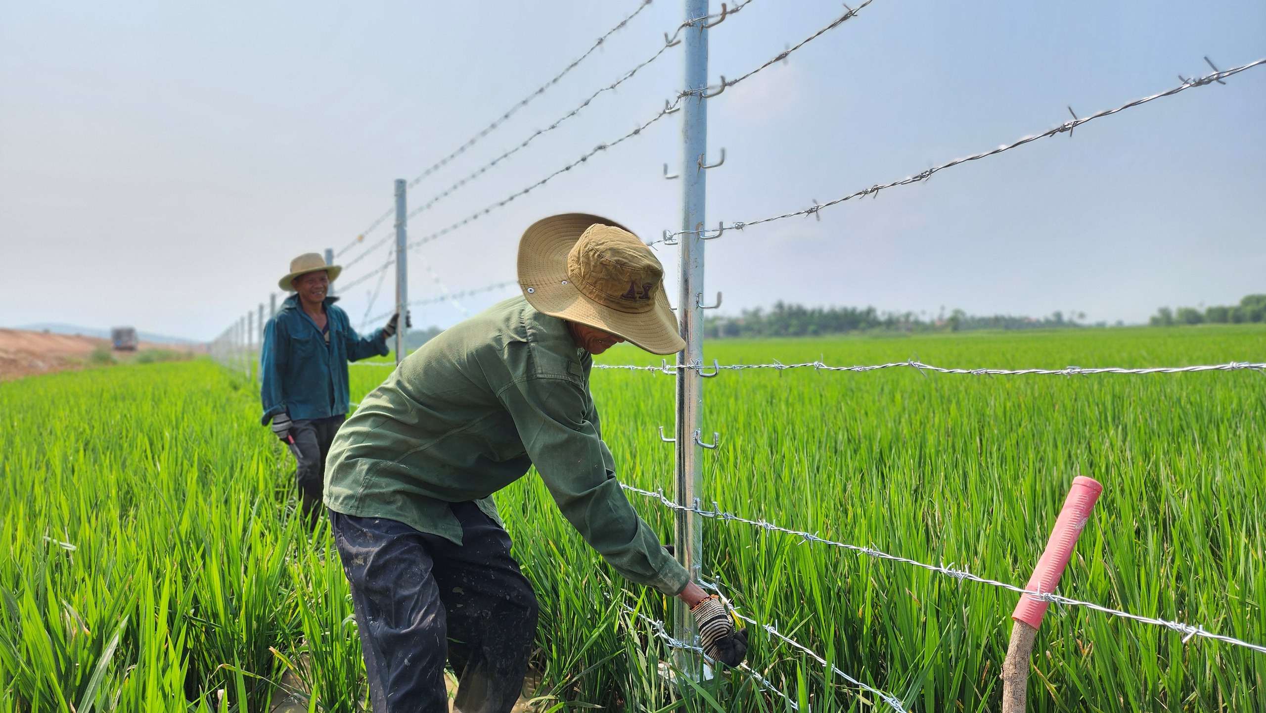 Gấp r&uacute;t ho&agrave;n thiện hạng mục an to&agrave;n giao th&ocirc;ng cao tốc Quảng Ng&atilde;i - Ho&agrave;i Nhơn- Ảnh 9.