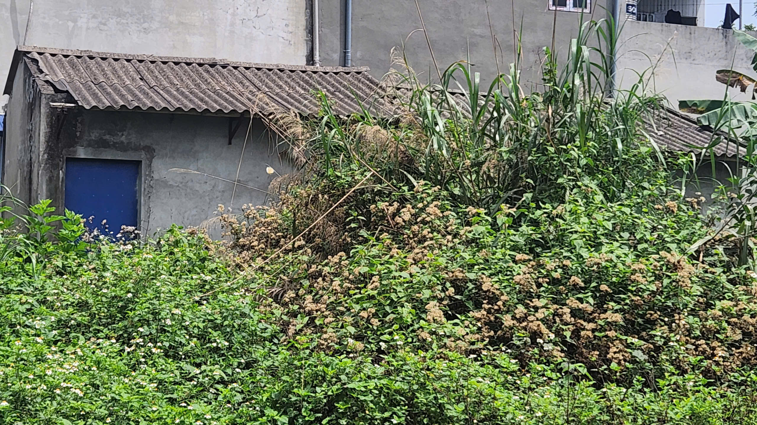 Khu t&aacute;i định cư di d&acirc;n v&ugrave;ng thi&ecirc;n tai ở Th&aacute;i Nguy&ecirc;n 10 năm hoang h&oacute;a- Ảnh 4.