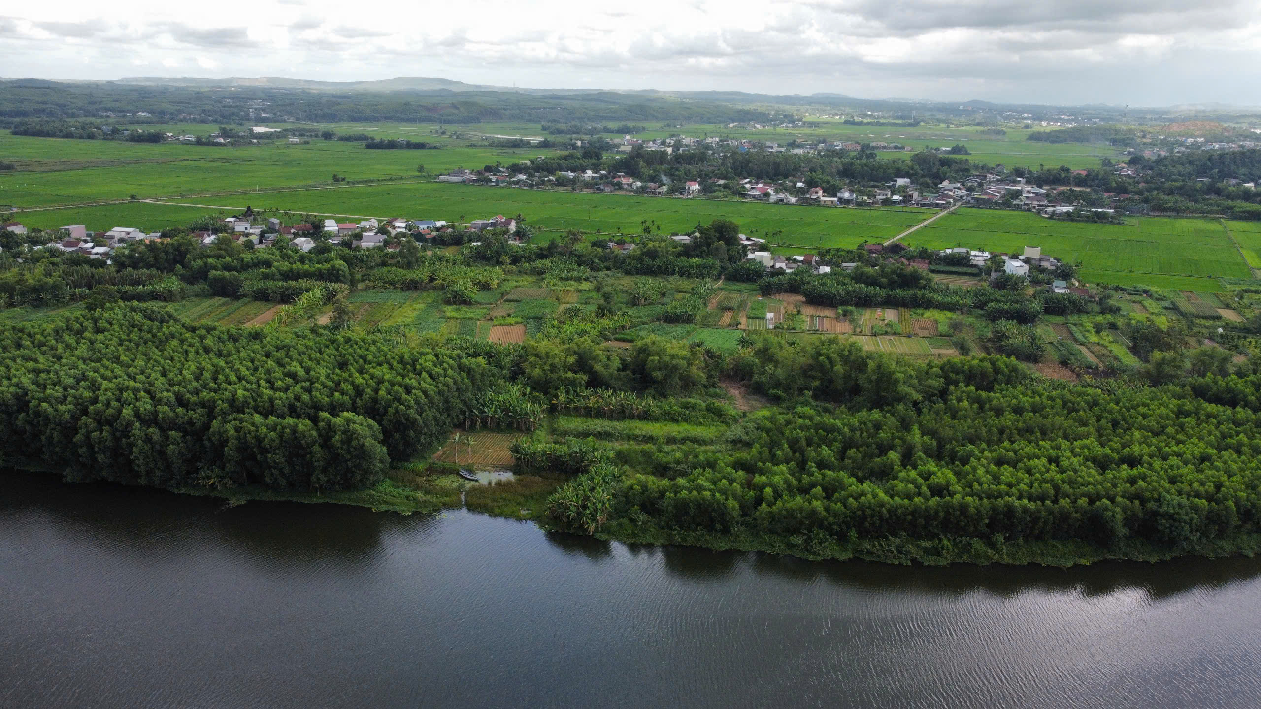 Quảng Ng&atilde;i: Y&ecirc;u cầu kh&ocirc;ng canh t&aacute;c hoa m&agrave;u tr&ecirc;n đất quy hoạch đường 3.500 tỷ đồng- Ảnh 1.