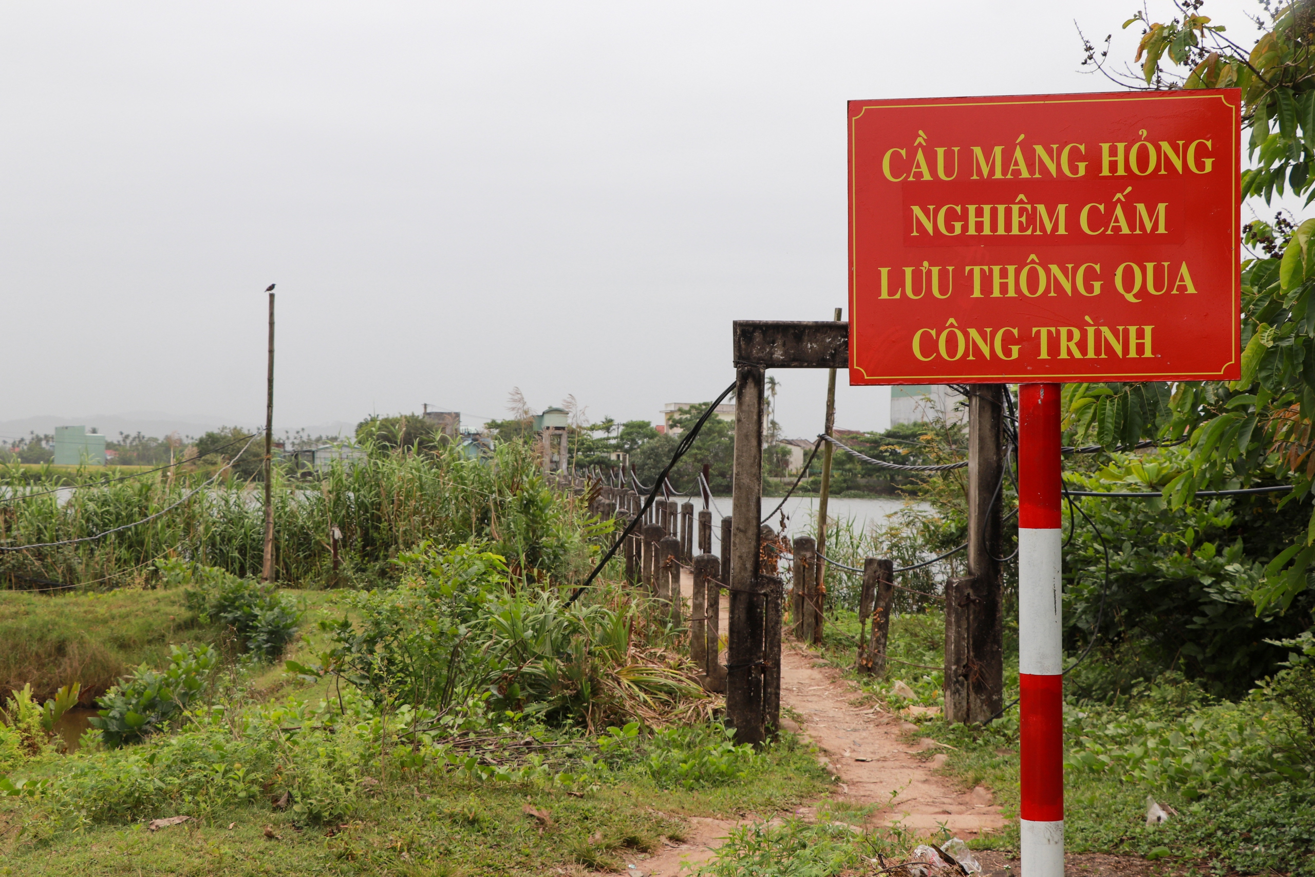 Cầu 220 tỷ dang dở sau 6 năm thi công, Quảng Nam yêu cầu làm rõ trách nhiệm- Ảnh 8. Cầu 220 tỷ dang dở sau 6 năm thi công, Quảng Nam yêu cầu làm rõ trách nhiệm- Ảnh 8.