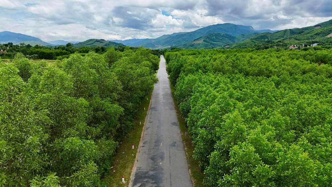 V&igrave; sao Quảng Ng&atilde;i v&agrave; Kon Tum kiến nghị cần đầu tư ho&agrave;n thiện quốc lộ 24?- Ảnh 4.