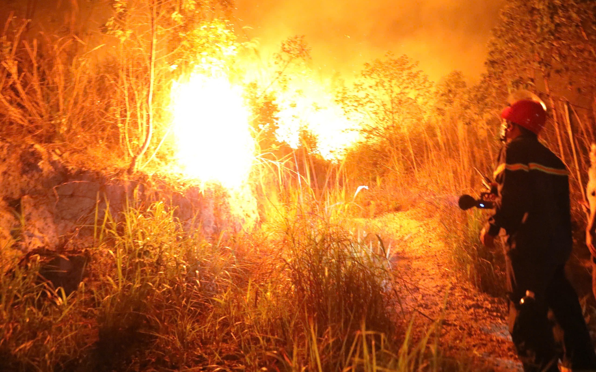 Gia Lai: Đốt ong bất cẩn, thiêu rụi khoảng 7.000m² rừng keo- Ảnh 3. Vĩnh Phúc: Huy động gần 800 người tham gia chữa cháy rừng tại Núi Ngang