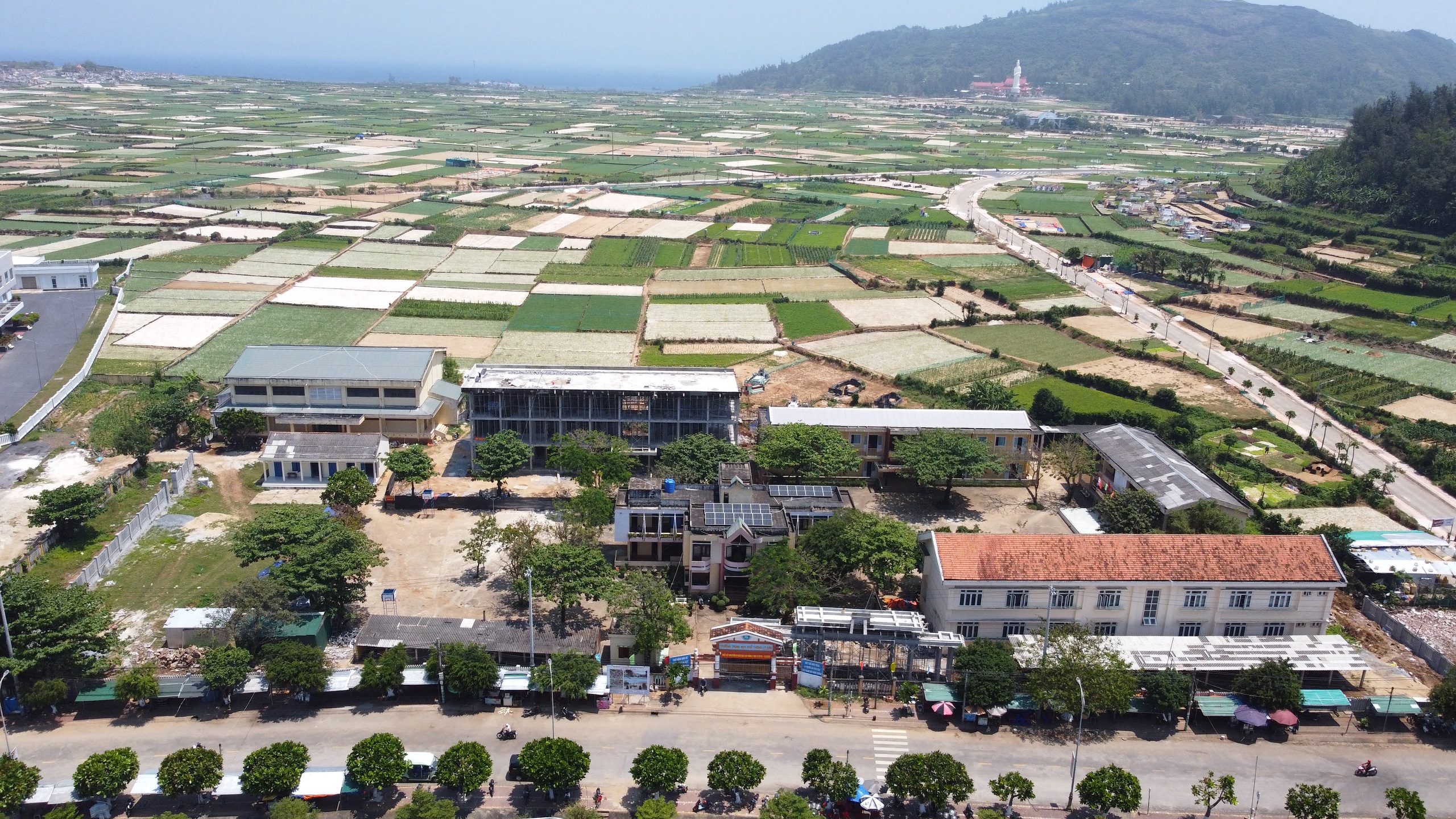 Chủ động gỡ vướng mặt bằng để thi c&ocirc;ng trường học lớn nhất L&yacute; Sơn- Ảnh 1.