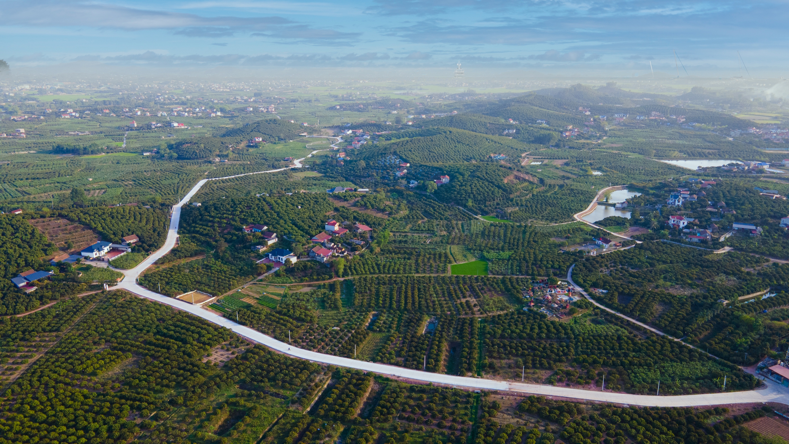 Bắc Giang: Hơn 60 hộ d&acirc;n đồng l&ograve;ng hiến đất, mở rộng đường v&agrave;o thủ phủ vải thiều Ph&uacute;c H&ograve;a- Ảnh 1.