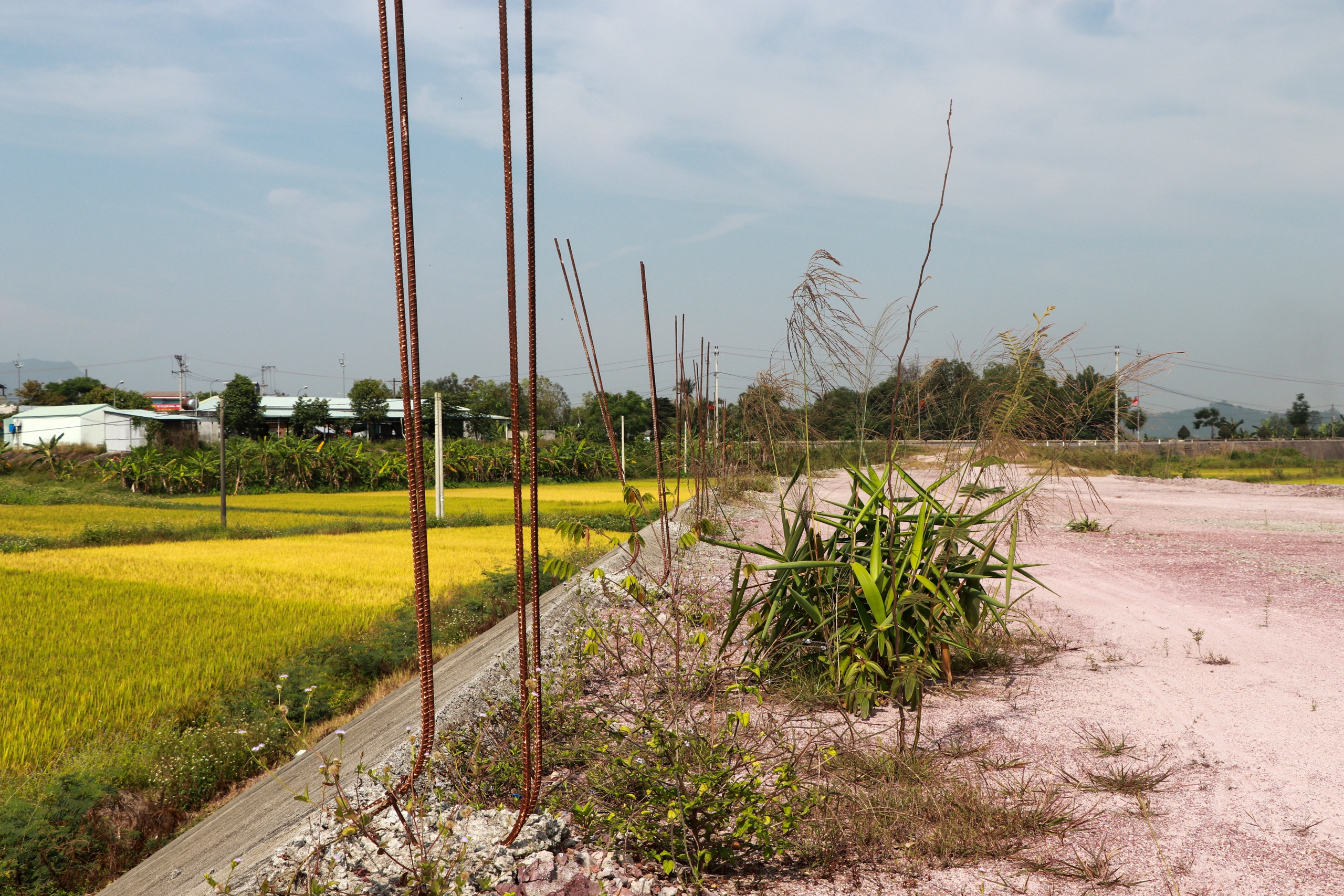 Dự &aacute;n đường tr&aacute;nh lũ 280 tỷ đồng ở Quảng Nam sắp khởi động lại sau 2 năm trễ hẹn- Ảnh 2.