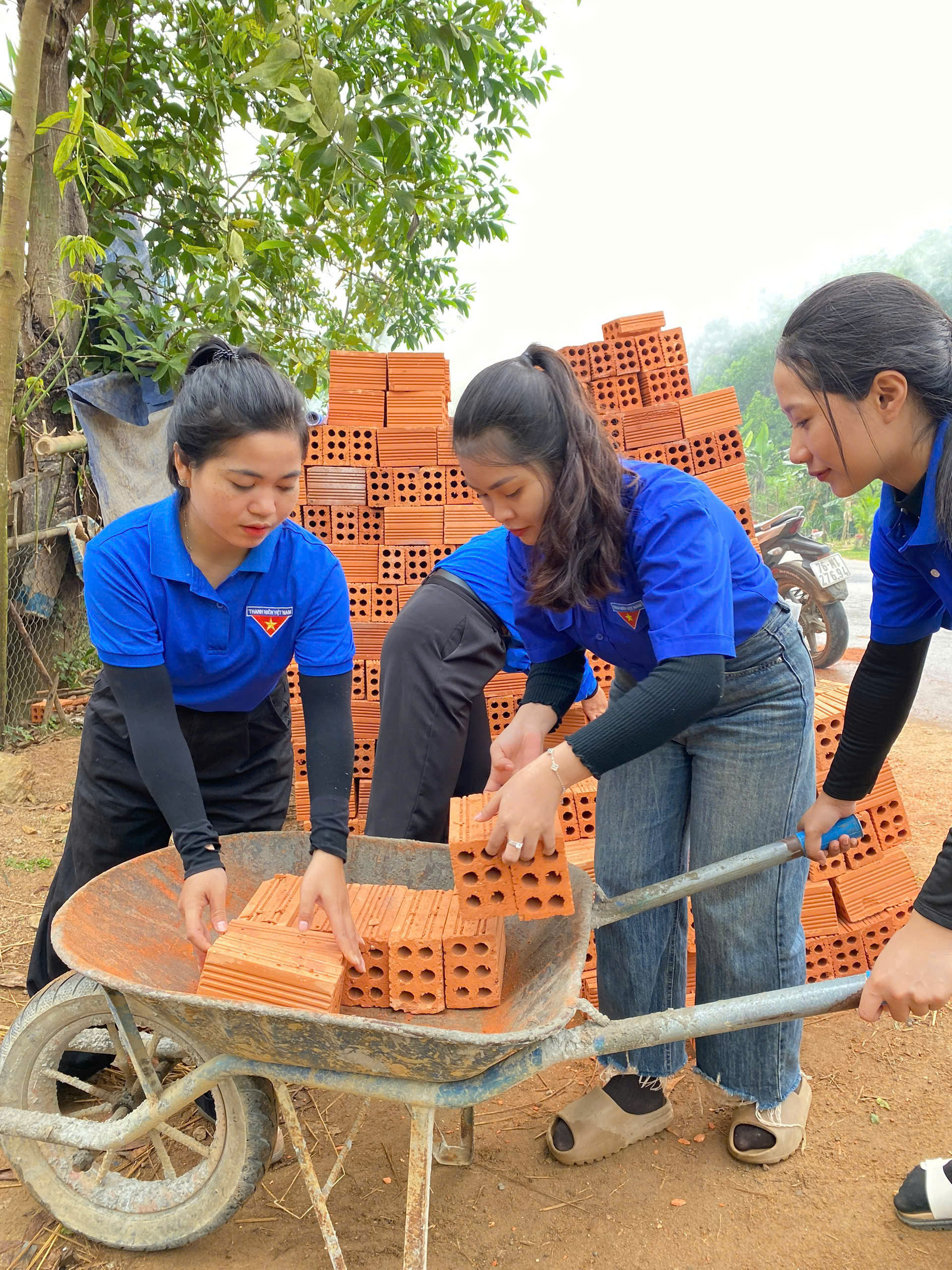 Quảng Ng&atilde;i đưa gạch từ nh&agrave; m&aacute;y tới nh&agrave; d&acirc;n diện x&oacute;a nh&agrave; tạm để b&igrave;nh ổn gi&aacute;- Ảnh 3.
