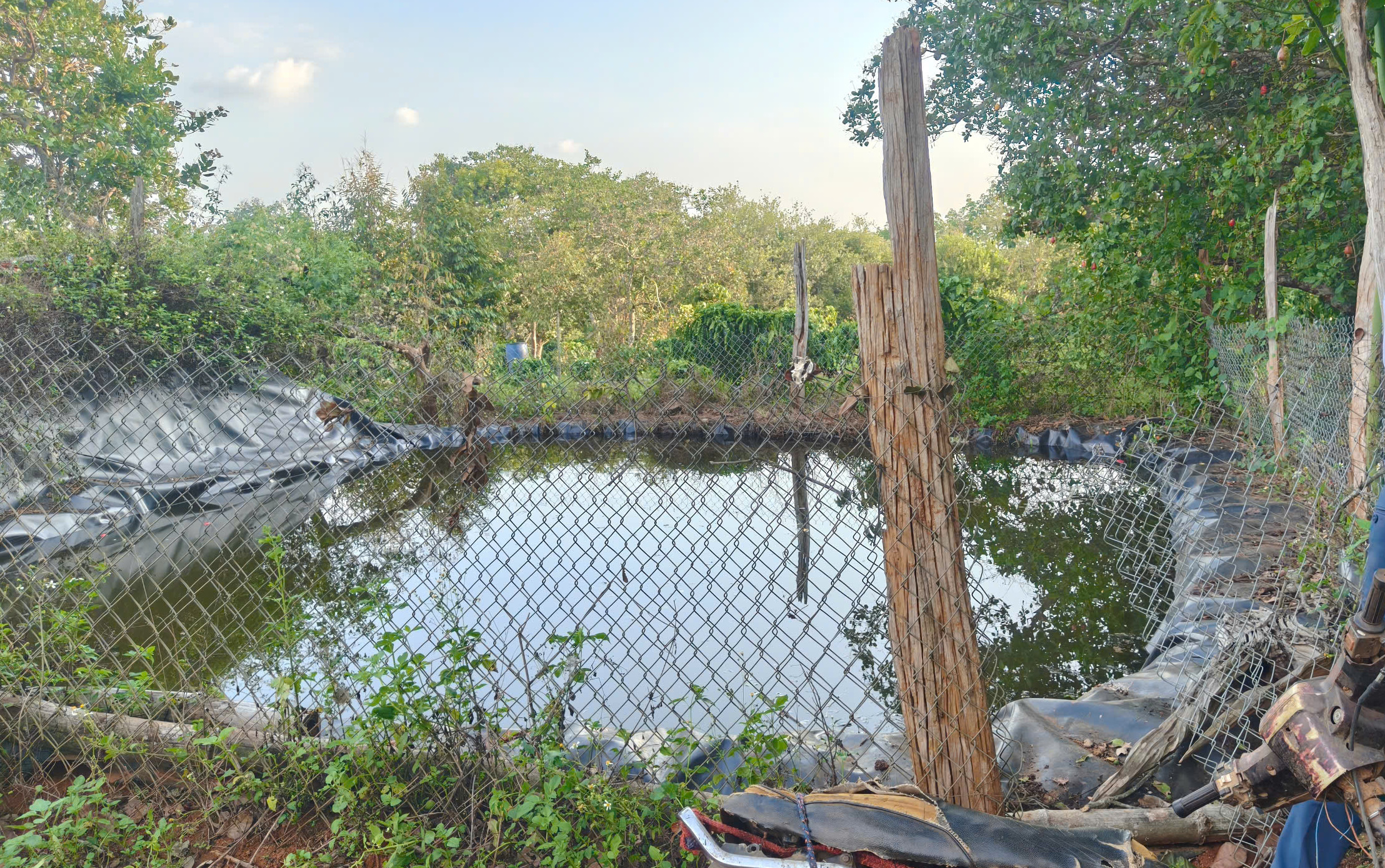 Hai anh em tử vong dưới hồ chứa nước tưới cà phê ở Đắk Nông- Ảnh 1. Hai anh em tử vong dưới hồ chứa nước tưới cà phê ở Đắk Nông- Ảnh 1.