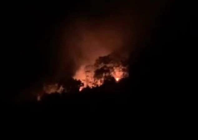 Đã kiểm soát đám cháy ở Vườn Quốc gia Ba Vì- Ảnh 1. Đã kiểm soát đám cháy ở Vườn Quốc gia Ba Vì- Ảnh 1.