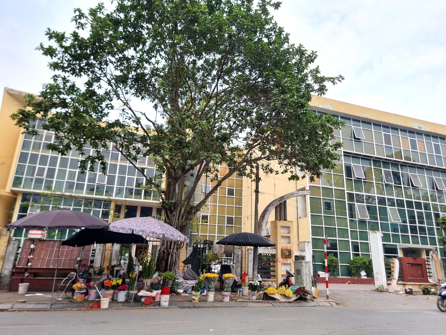 Loạt trụ sở bỏ hoang tr&ecirc;n đất v&agrave;ng quận H&agrave; Đ&ocirc;ng sẽ được xử l&yacute; ra sao?- Ảnh 4.