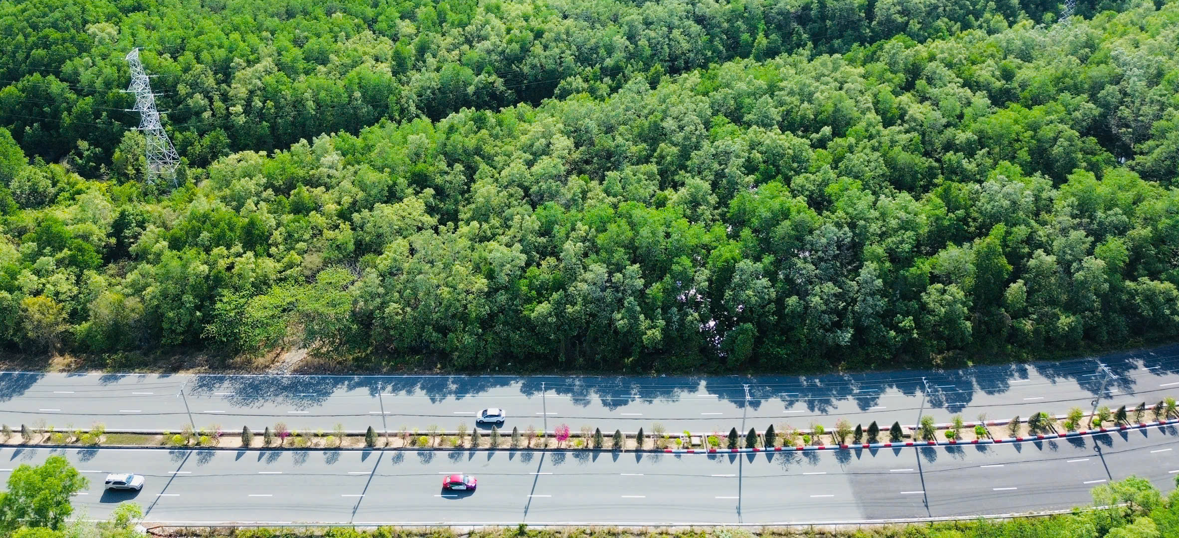 Ngắm cung đường xanh mướt sắp có tuyến metro nối TP.HCM với biển Cần Giờ- Ảnh 12. Ngắm cung đường xanh mướt sắp có tuyến metro nối TP.HCM với biển Cần Giờ- Ảnh 12.