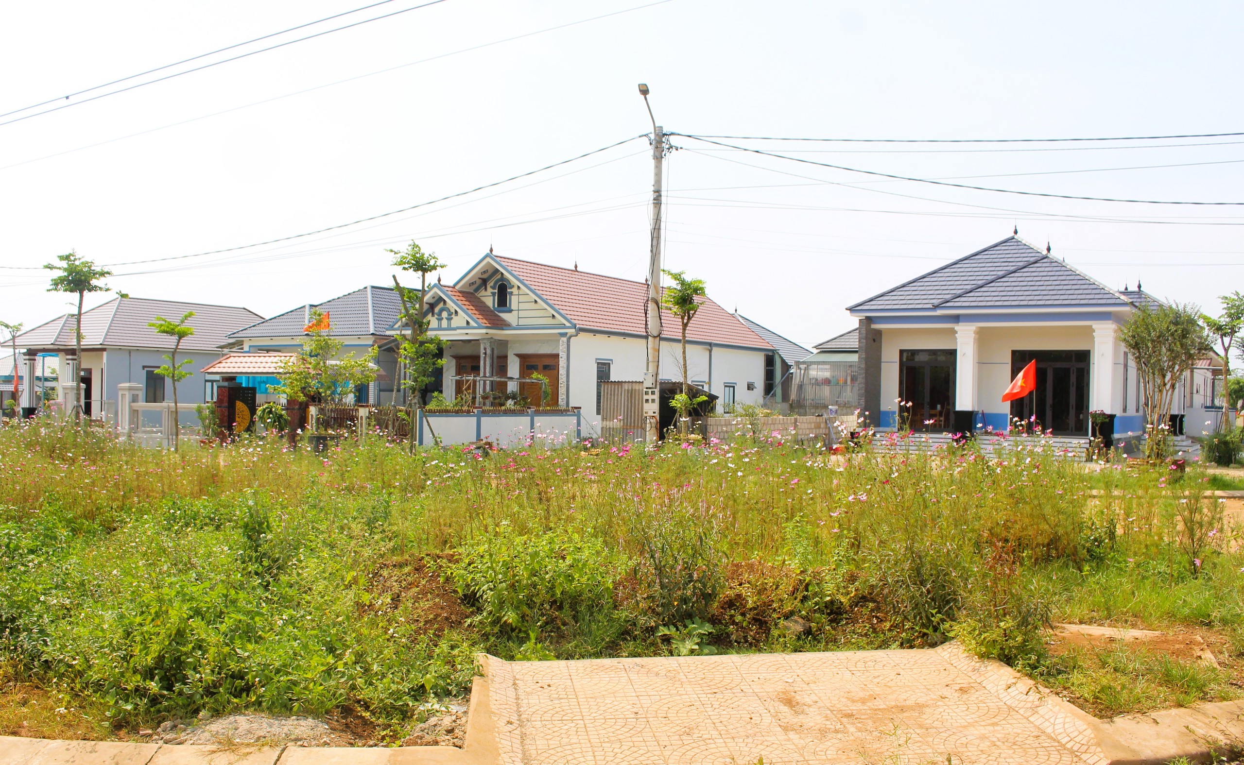 Ngắm những ng&ocirc;i nh&agrave; tiền tỷ tr&ecirc;n phố mới ở Quảng Trị- Ảnh 3.