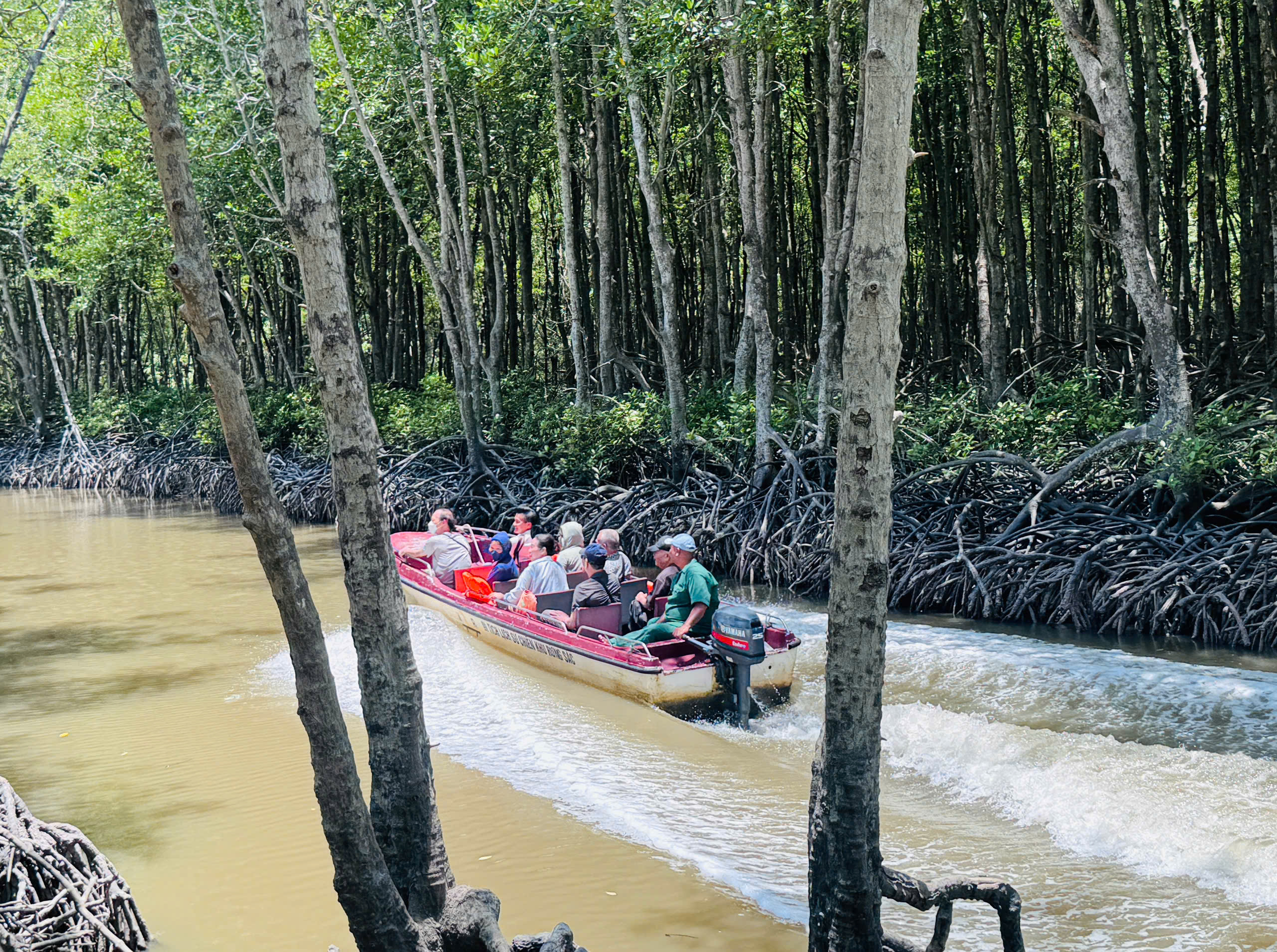 Thăm căn cứ Rừng Sác - chiến khu huyền thoại giữa vùng nước ngập mặn- Ảnh 21. Thăm căn cứ Rừng Sác - chiến khu huyền thoại giữa vùng nước ngập mặn- Ảnh 21.