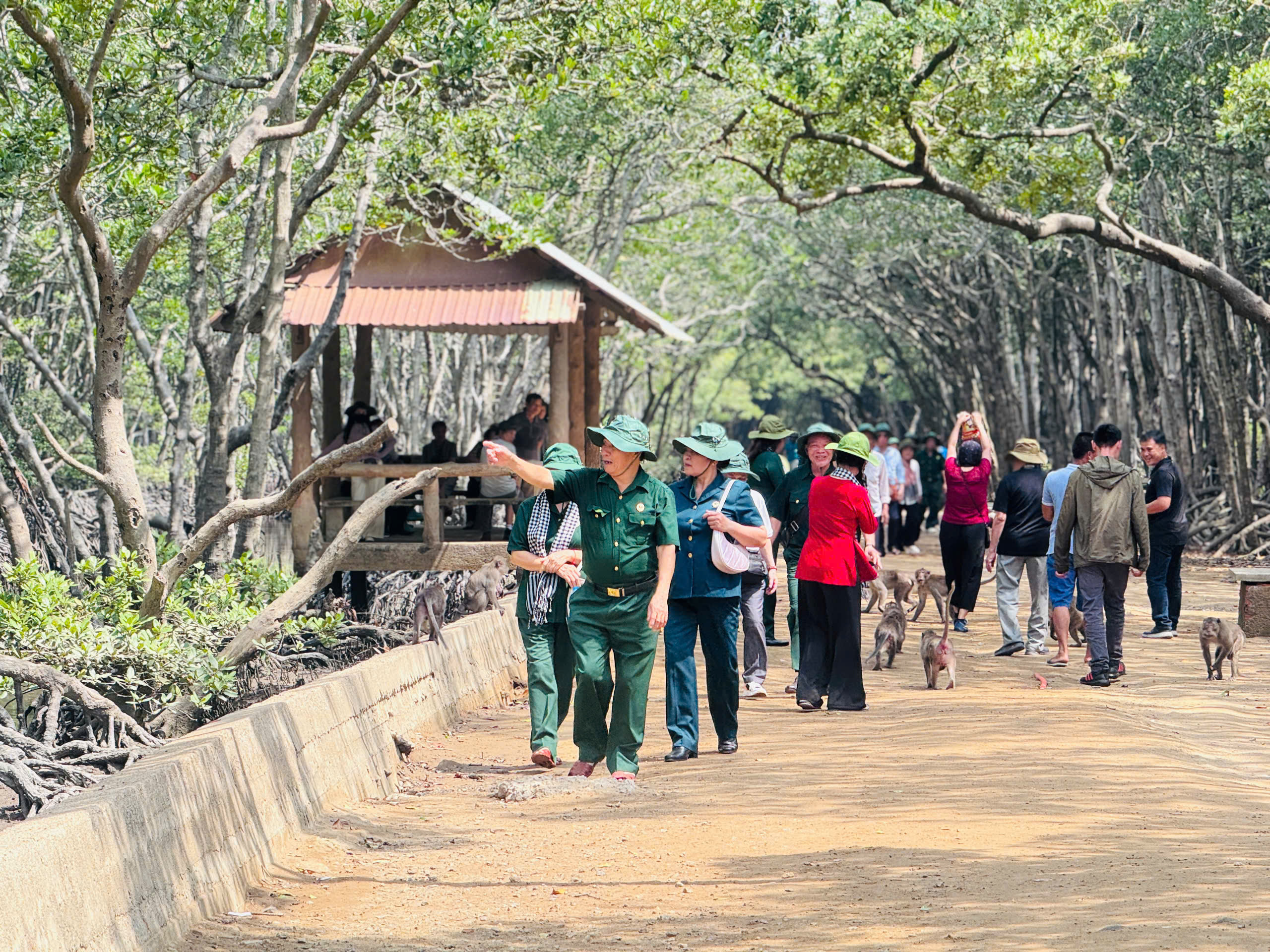 Thăm căn cứ Rừng Sác - chiến khu huyền thoại giữa vùng nước ngập mặn- Ảnh 2. Thăm căn cứ Rừng Sác - chiến khu huyền thoại giữa vùng nước ngập mặn- Ảnh 2.