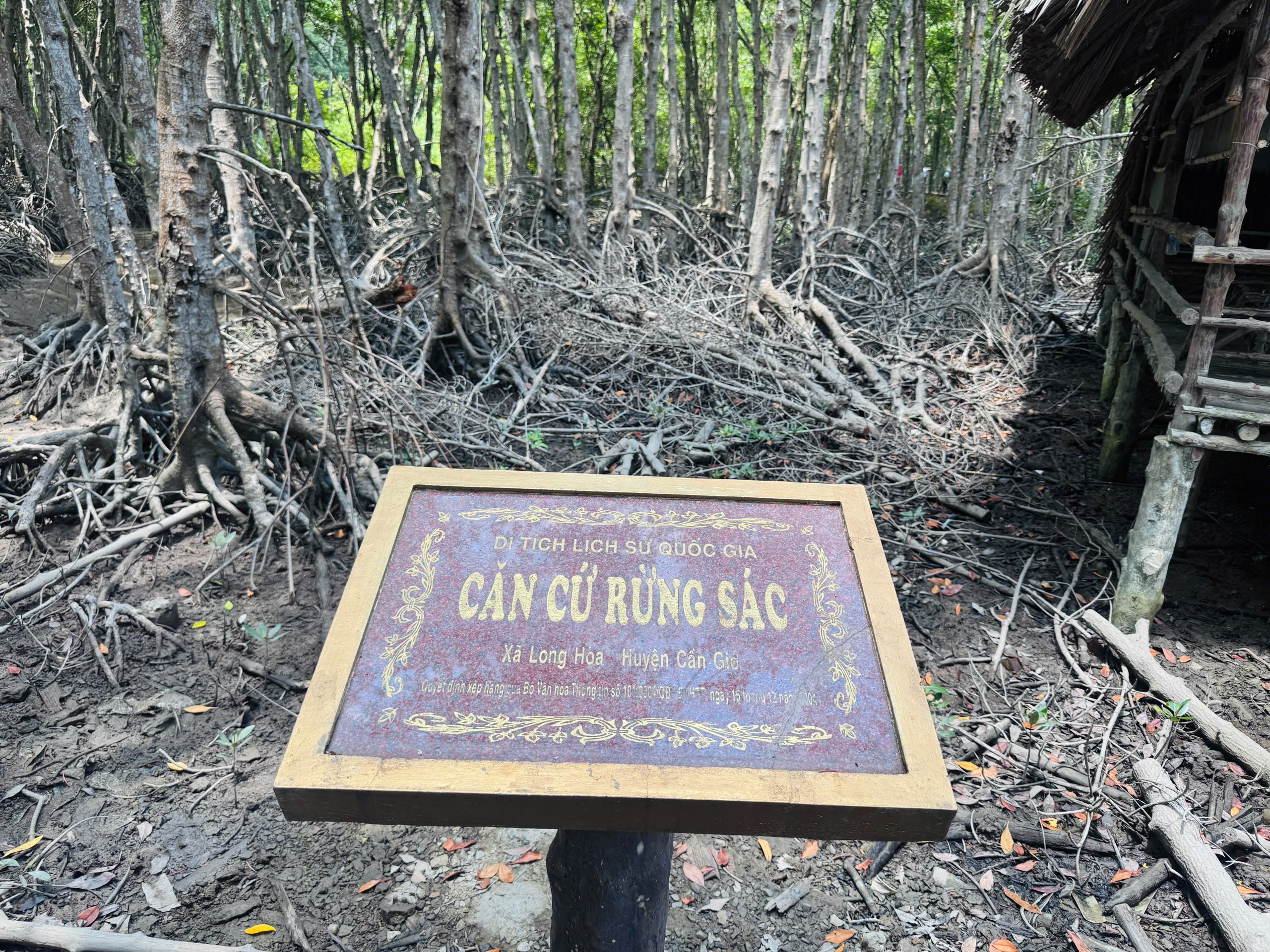 Thăm căn cứ Rừng Sác - chiến khu huyền thoại giữa vùng nước ngập mặn- Ảnh 4. Thăm căn cứ Rừng Sác - chiến khu huyền thoại giữa vùng nước ngập mặn- Ảnh 4.