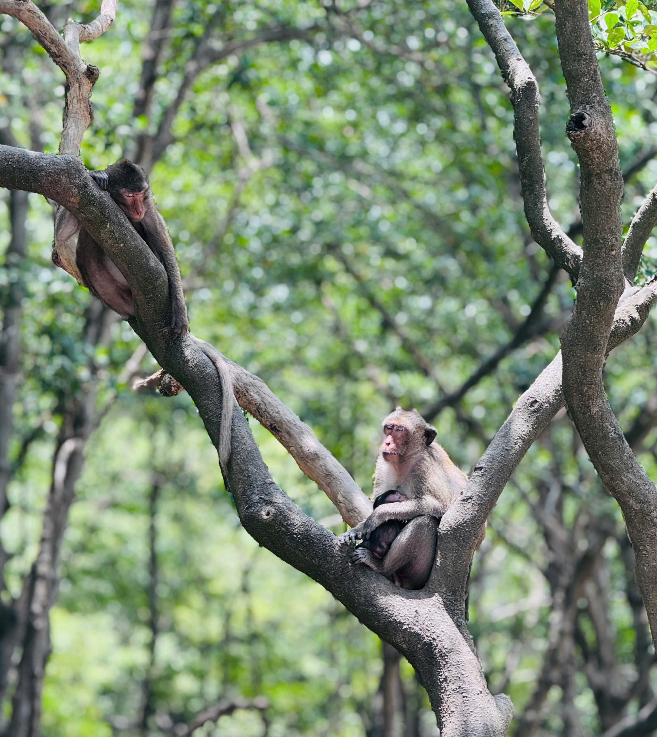 Thăm căn cứ Rừng Sác - chiến khu huyền thoại giữa vùng nước ngập mặn- Ảnh 22. Thăm căn cứ Rừng Sác - chiến khu huyền thoại giữa vùng nước ngập mặn- Ảnh 22.