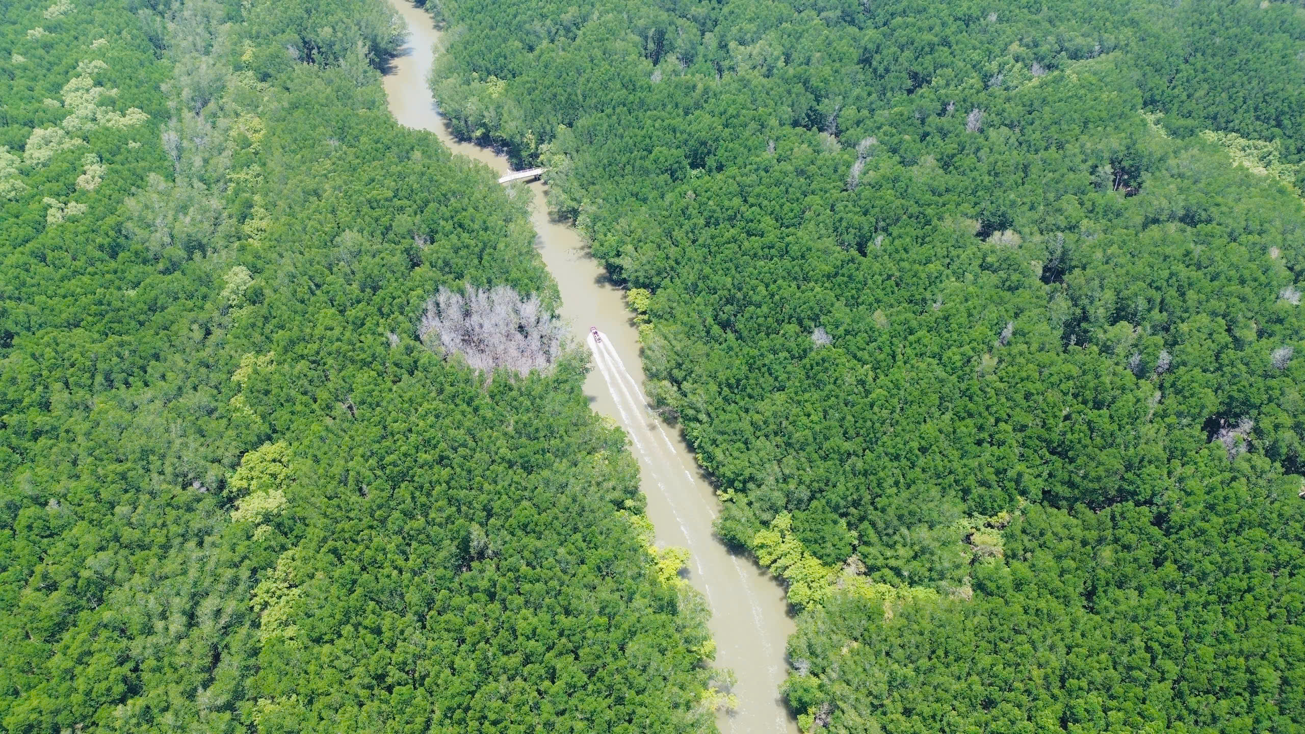 Thăm căn cứ Rừng Sác - chiến khu huyền thoại giữa vùng nước ngập mặn- Ảnh 1. Thăm căn cứ Rừng Sác - chiến khu huyền thoại giữa vùng nước ngập mặn- Ảnh 1.