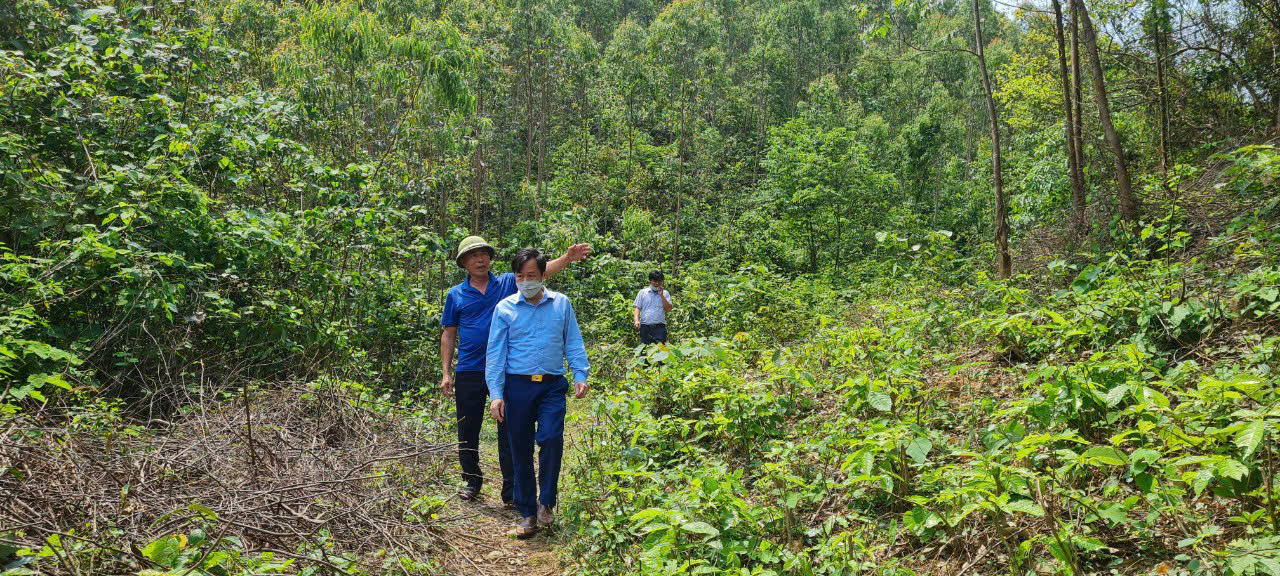 Trung tâm phát triển nông, lâm nghiệp tỉnh Vĩnh Phúc quyết liệt phòng, chống cháy rừng- Ảnh 2. Trung tâm phát triển nông, lâm nghiệp tỉnh Vĩnh Phúc quyết liệt phòng, chống cháy rừng- Ảnh 2.