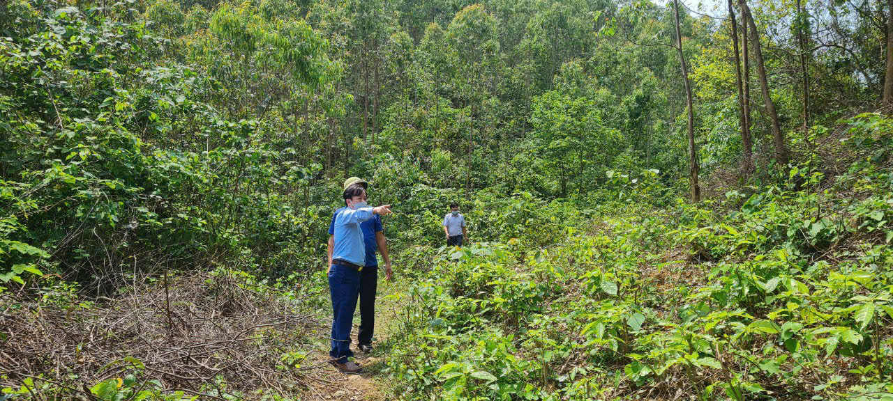 Trung tâm phát triển nông, lâm nghiệp tỉnh Vĩnh Phúc quyết liệt phòng, chống cháy rừng- Ảnh 1. Trung tâm phát triển nông, lâm nghiệp tỉnh Vĩnh Phúc quyết liệt phòng, chống cháy rừng- Ảnh 1.
