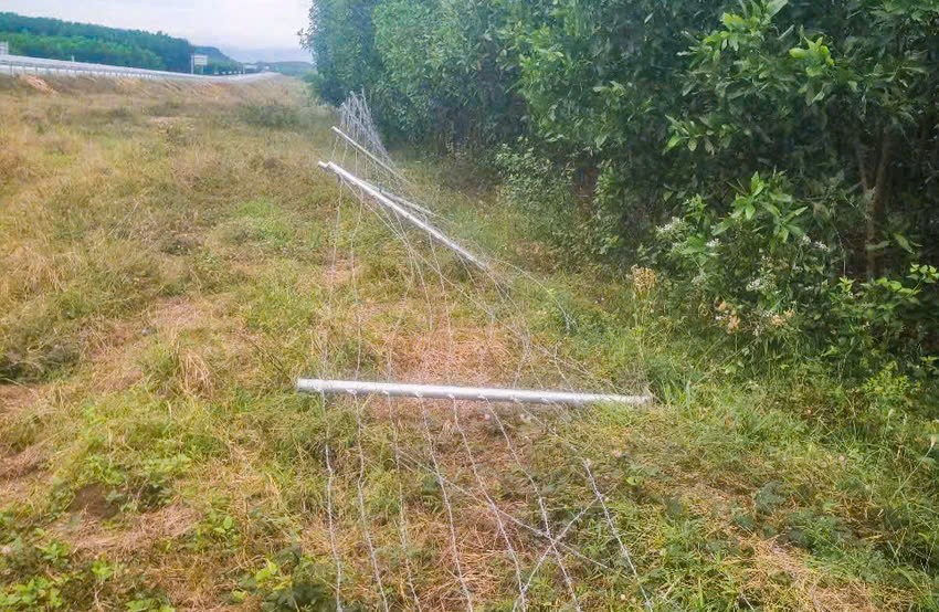 C&ocirc;ng an tỉnh Kh&aacute;nh H&ograve;a khen thưởng c&aacute;n bộ, c&ocirc;ng nh&acirc;n Tập đo&agrave;n Sơn Hải- Ảnh 2.