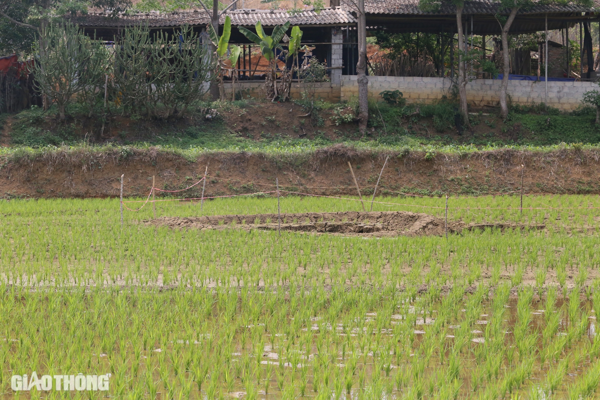 Xuất hiện nhiều điểm l&uacute;n, hố "tử thần" ở Bắc Kạn- Ảnh 12.