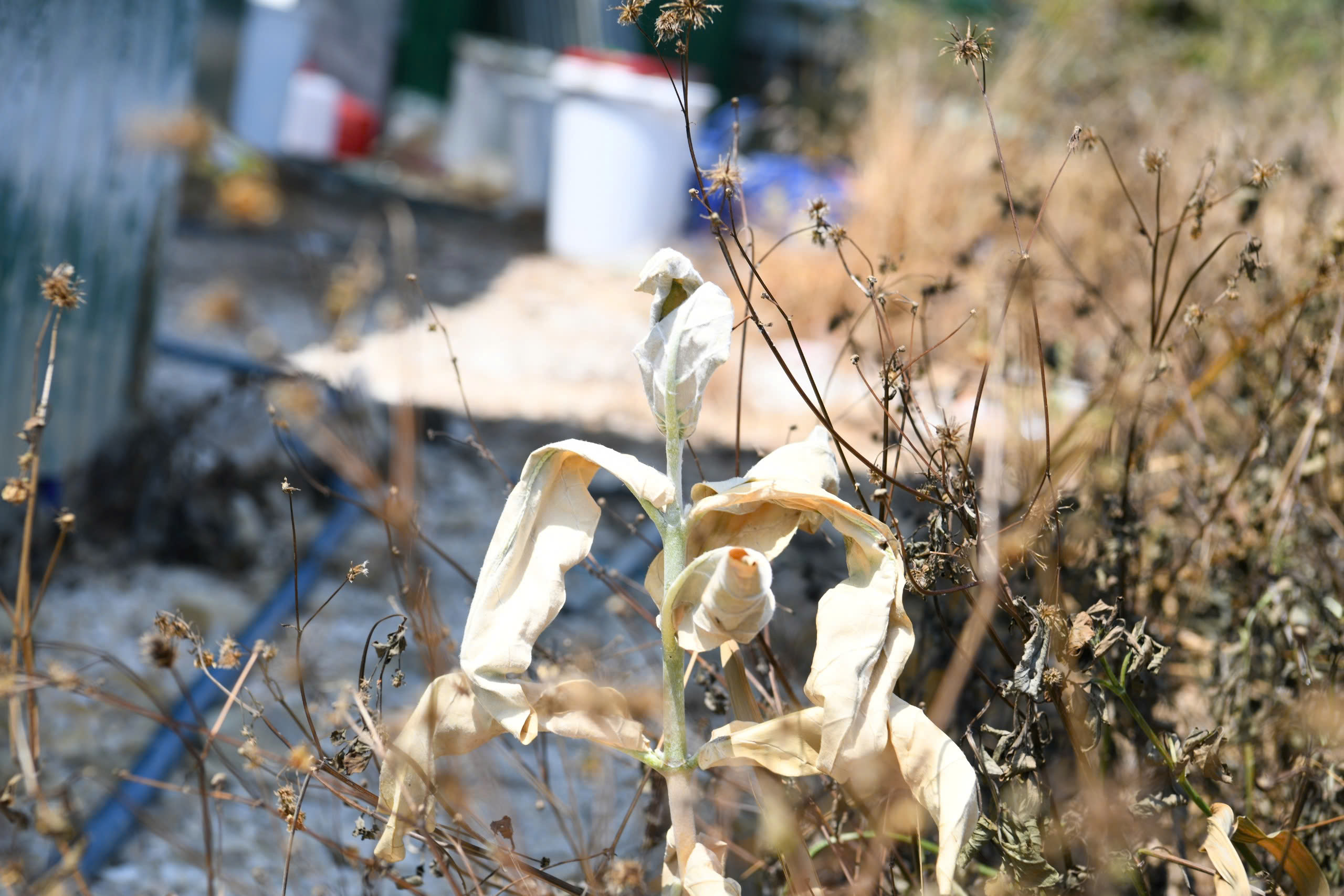 H&igrave;nh ảnh chưa từng c&ocirc;ng bố vụ bắt nh&oacute;m sản xuất 1,4 tấn ma t&uacute;y ở Nha Trang- Ảnh 10.