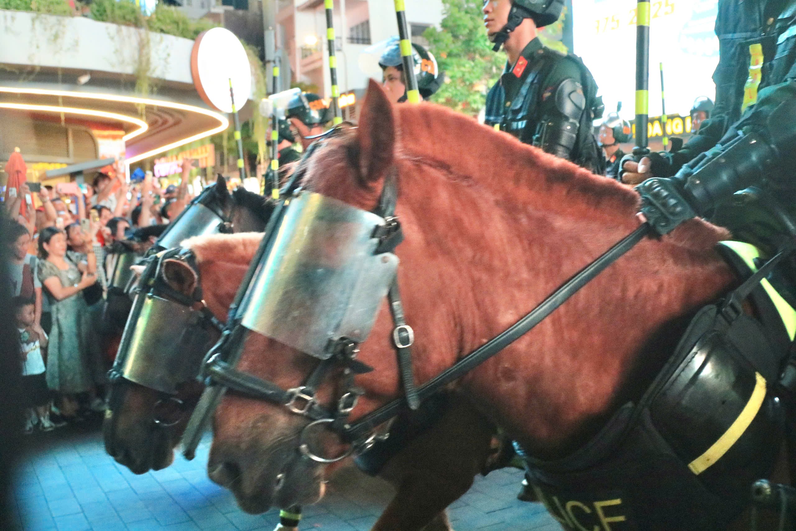 TP.HCM: Phố đi bộ Nguyễn Huệ vang lừng tiếng hò reo, vó kỵ binh trên nền quân nhạc- Ảnh 9. TP.HCM: Phố đi bộ Nguyễn Huệ vang lừng tiếng hò reo, vó kỵ binh trên nền quân nhạc- Ảnh 9.