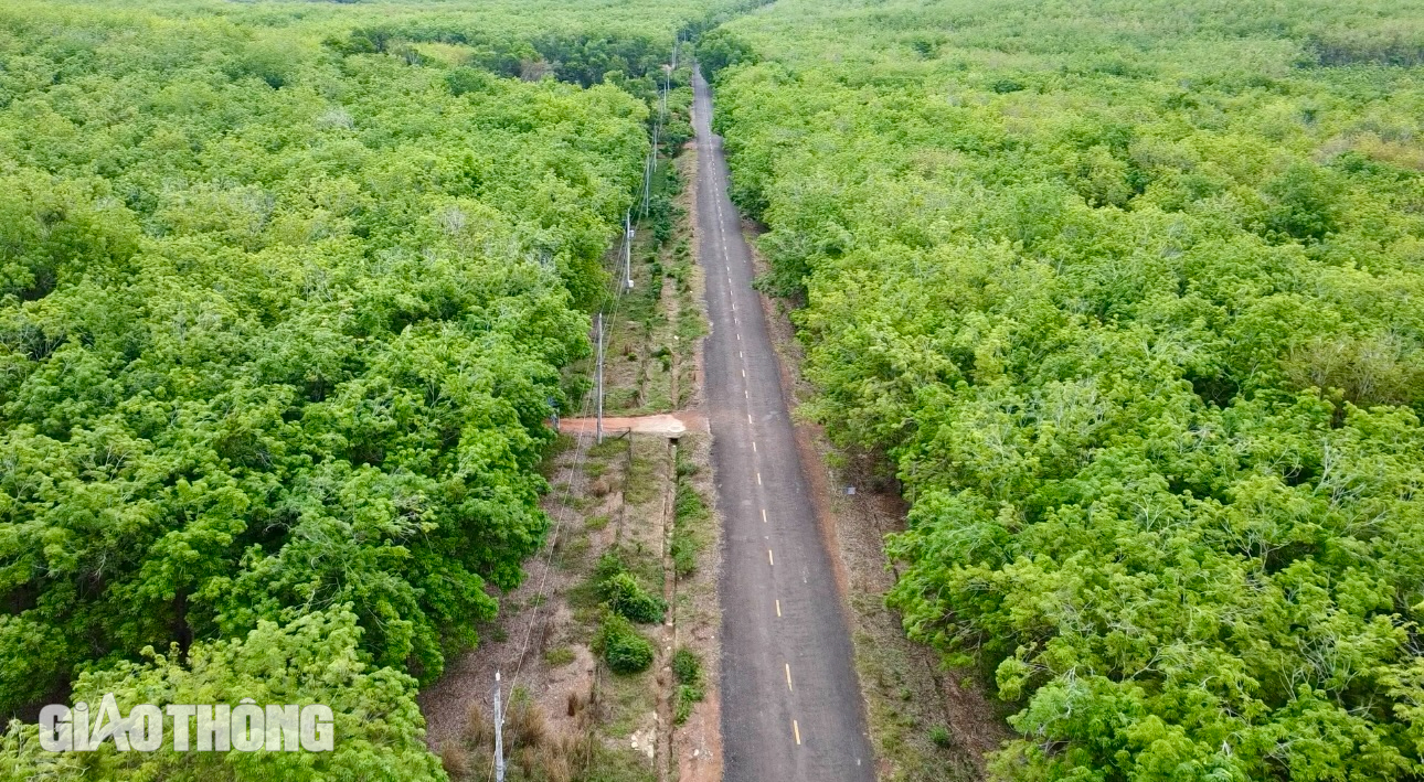 Cận cảnh nơi được đề xuất x&acirc;y dựng đường, cầu M&atilde; Đ&agrave; kết nối Đồng Nai - B&igrave;nh Phước- Ảnh 5.