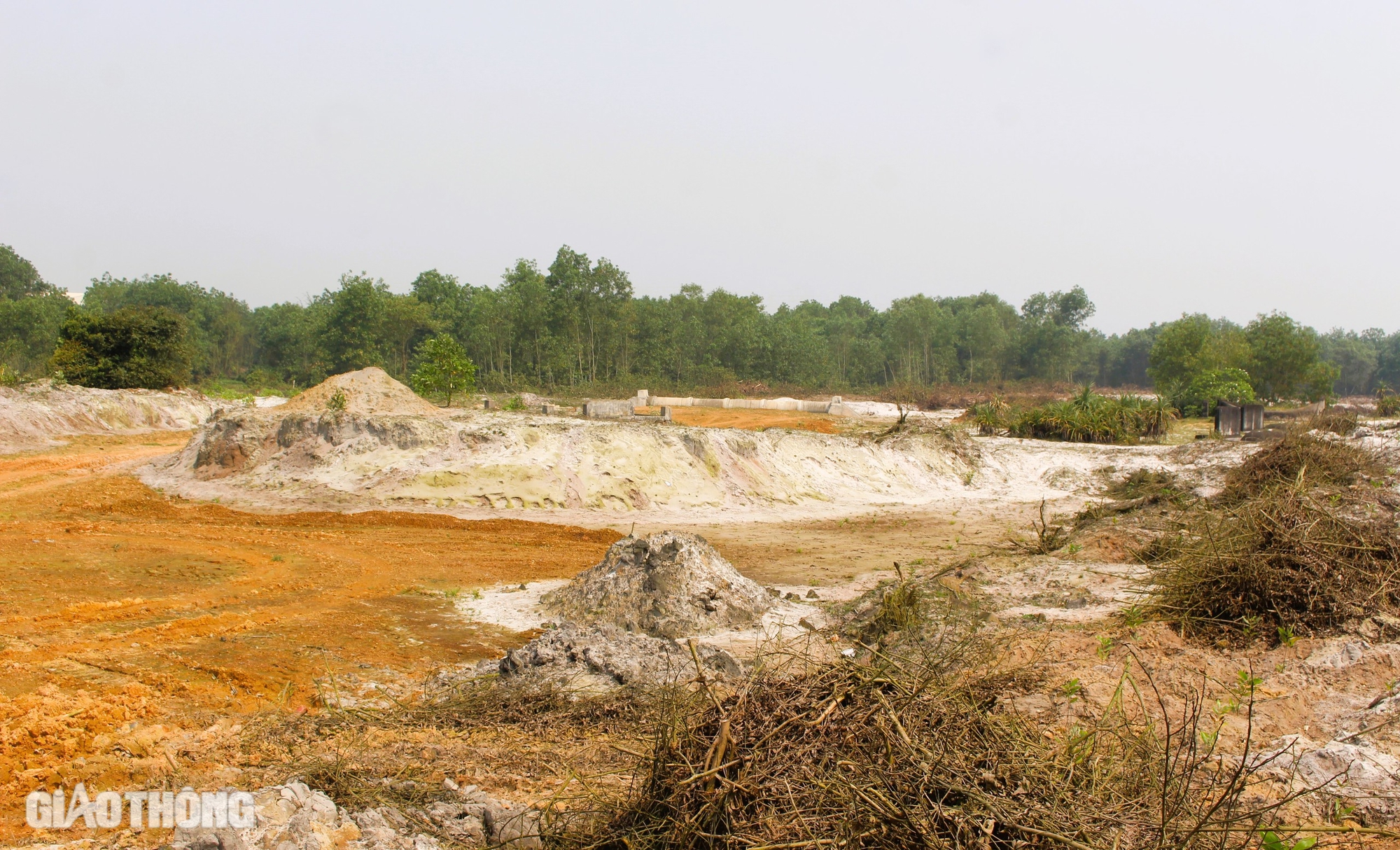 Chuyển mục đ&iacute;ch sử dụng hơn 6,6ha rừng l&agrave;m đường tr&aacute;nh TP Đ&ocirc;ng H&agrave;- Ảnh 1.