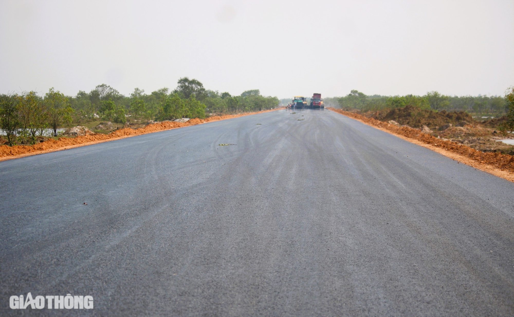 Chuyển mục đ&iacute;ch sử dụng hơn 6,6ha rừng l&agrave;m đường tr&aacute;nh TP Đ&ocirc;ng H&agrave;- Ảnh 3.