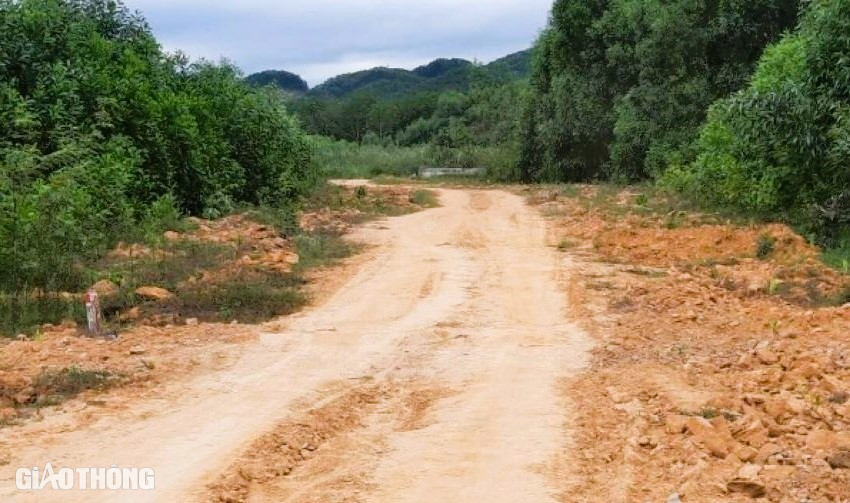 Chuyển mục đ&iacute;ch sử dụng hơn 6,6ha rừng l&agrave;m đường tr&aacute;nh TP Đ&ocirc;ng H&agrave;- Ảnh 2.