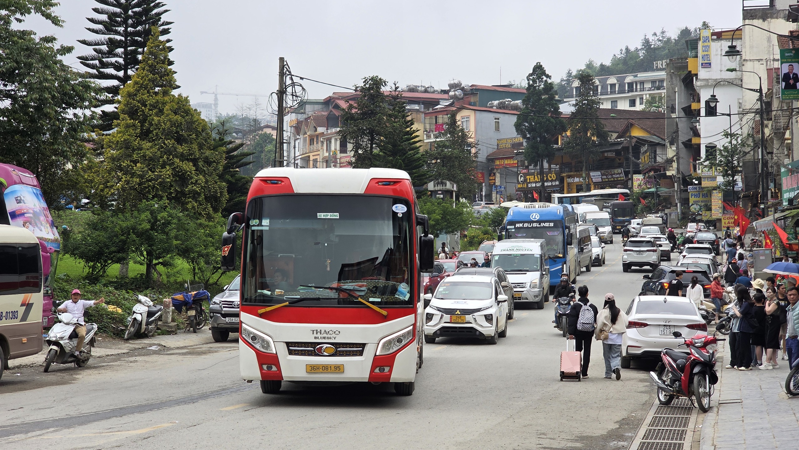 Sa Pa rực rỡ sắc hoa, nhộn nhịp đ&oacute;n h&agrave;ng chục ngh&igrave;n du kh&aacute;ch- Ảnh 4.