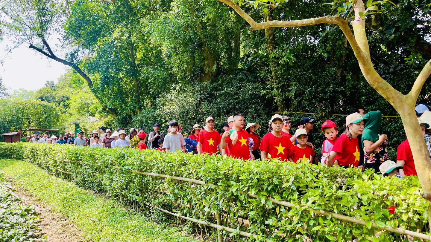 L&ograve;ng người như lắng lại giữa L&agrave;ng Sen- Ảnh 3.