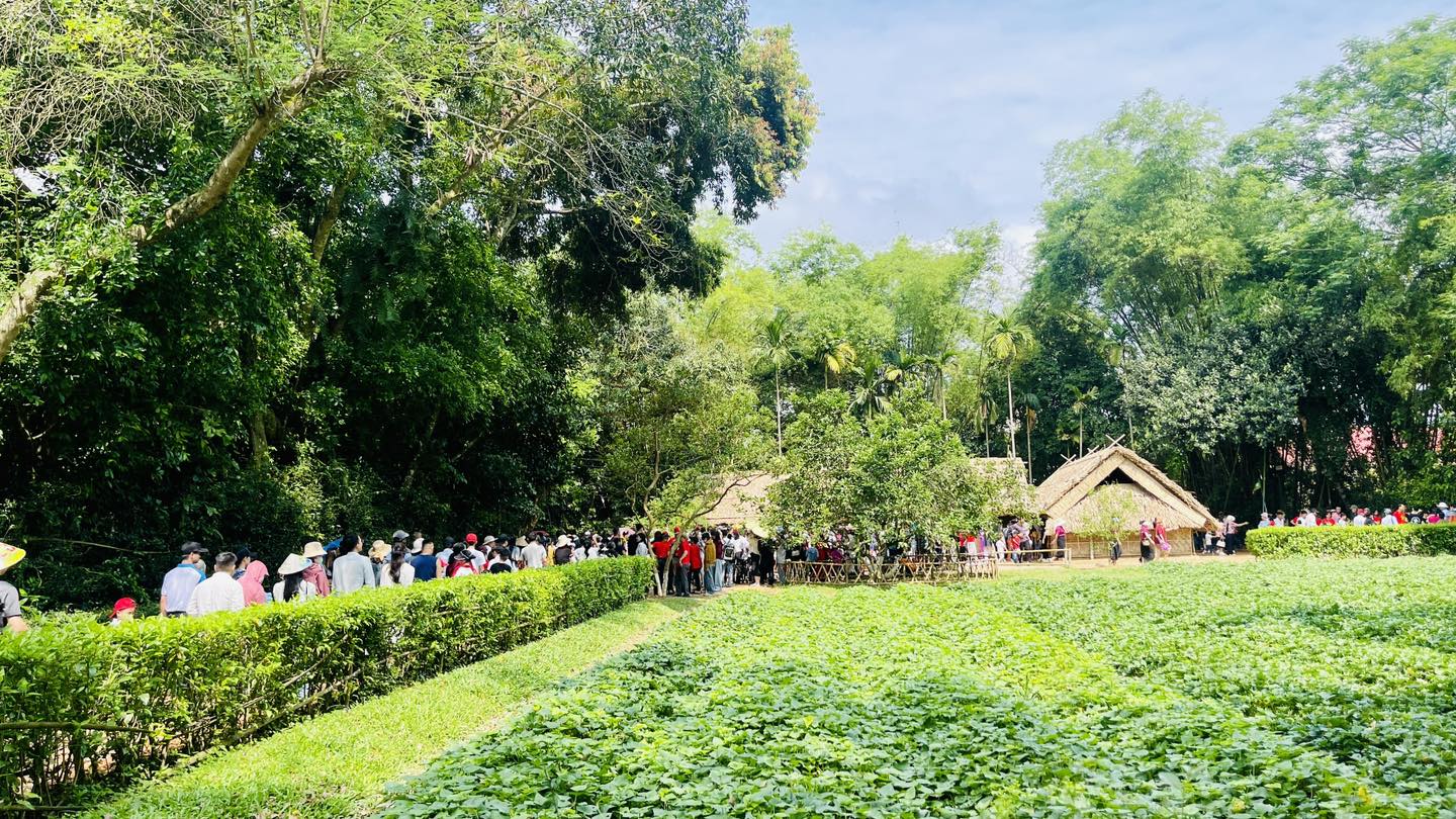 L&ograve;ng người như lắng lại giữa L&agrave;ng Sen- Ảnh 2.