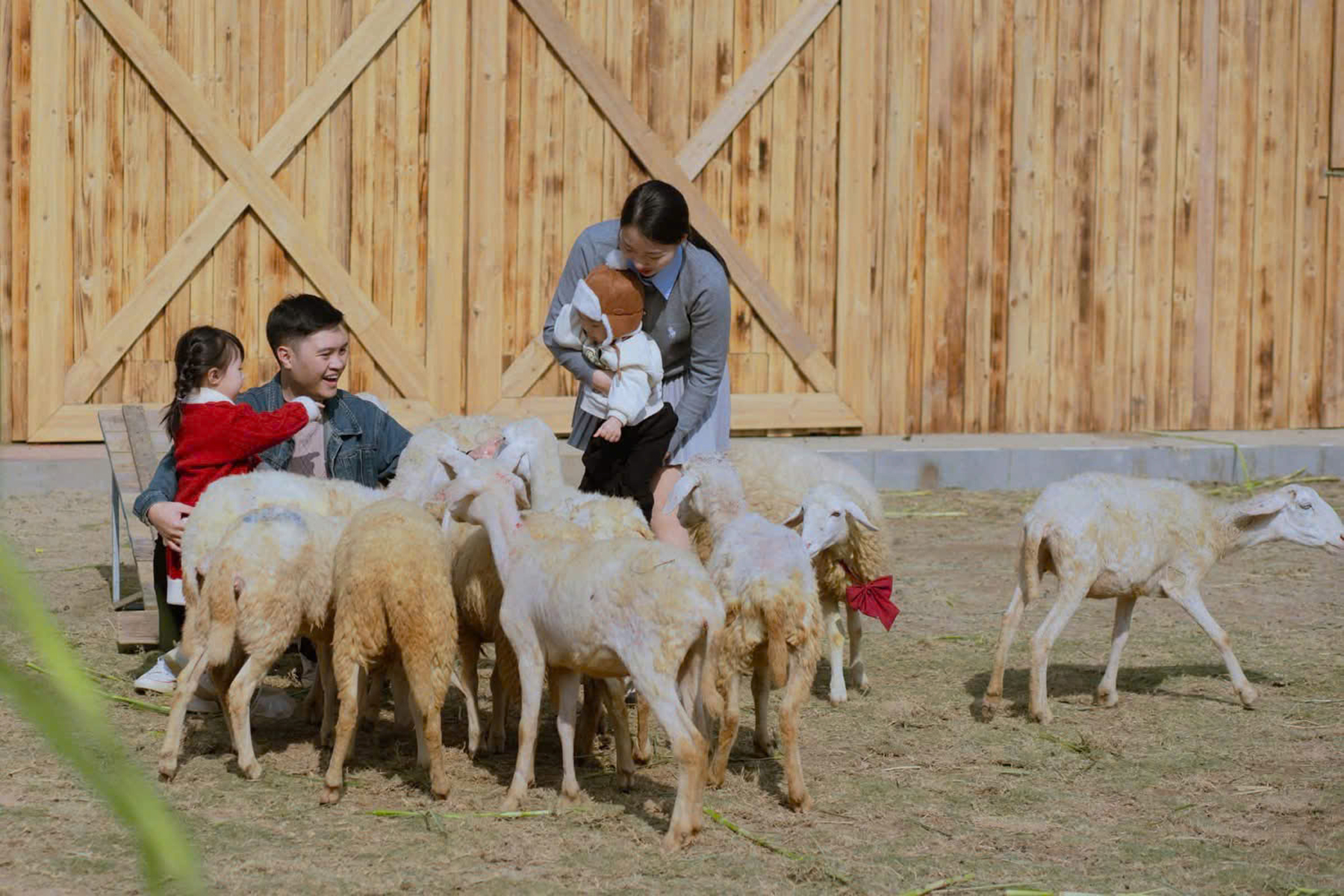 Sa Pa rực rỡ sắc hoa, nhộn nhịp đ&oacute;n h&agrave;ng chục ngh&igrave;n du kh&aacute;ch- Ảnh 17.