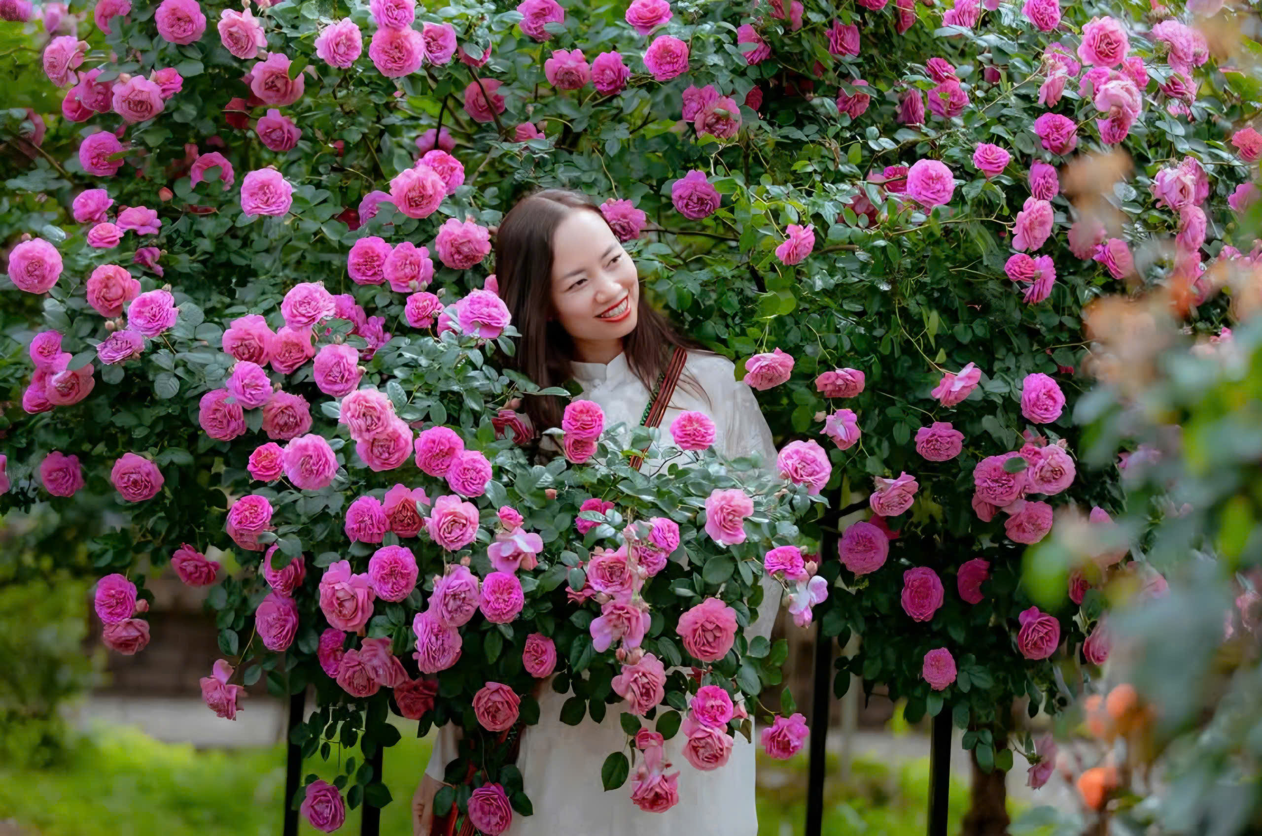 Sa Pa rực rỡ sắc hoa, nhộn nhịp đ&oacute;n h&agrave;ng chục ngh&igrave;n du kh&aacute;ch- Ảnh 8.